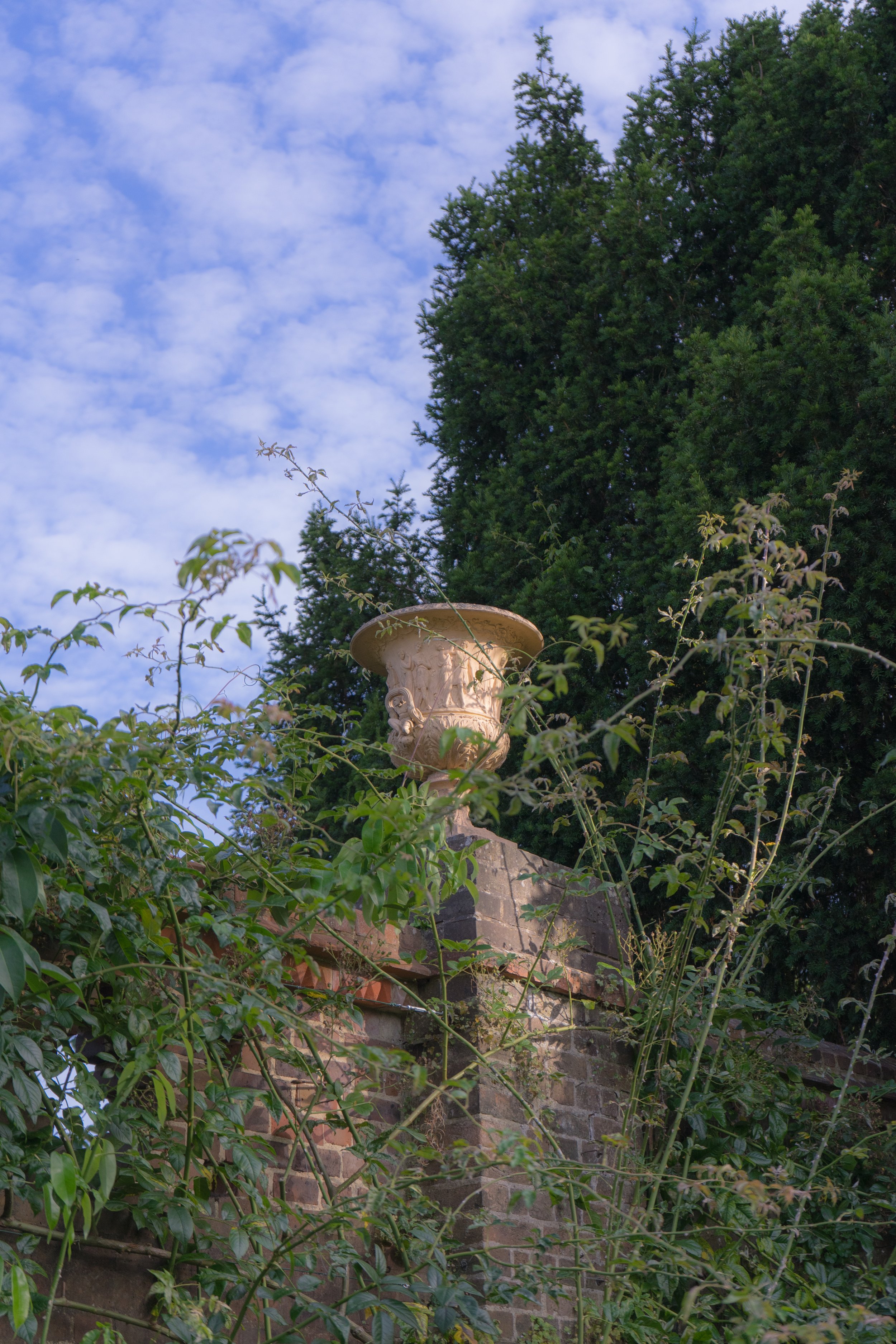 DSC02342.jpeg