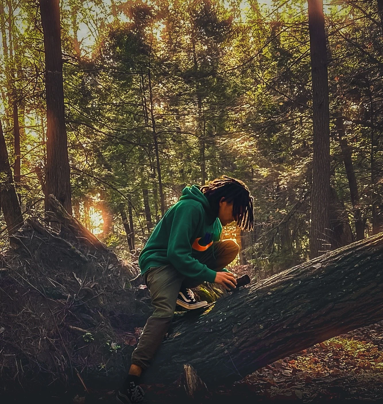 Green 🌲💚 #maine #forest #forestphotography #green