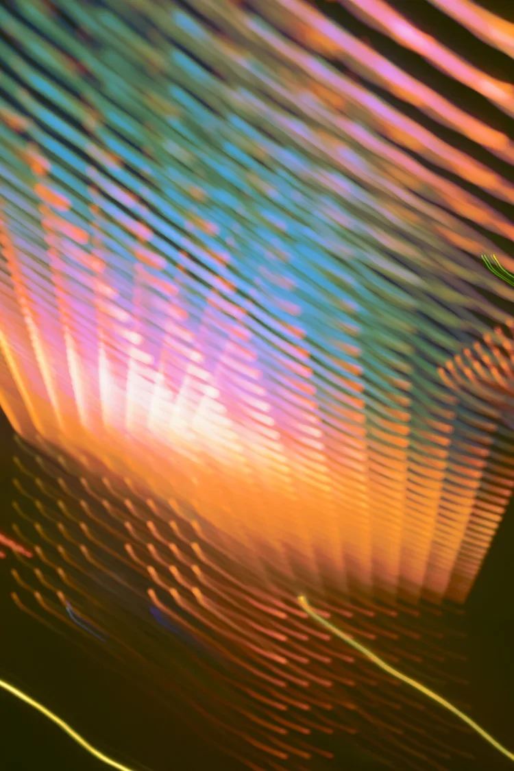 Merchandising Thesis