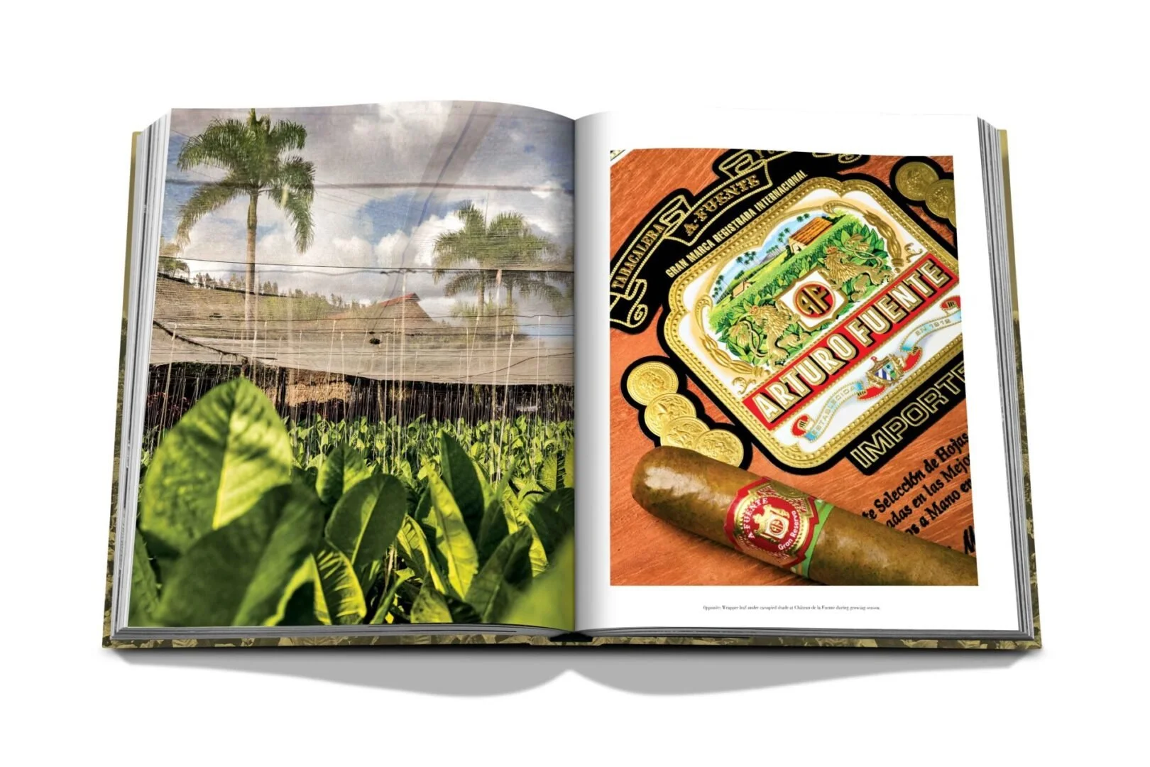 ArturoFuente_Spread_2-scaled.jpg