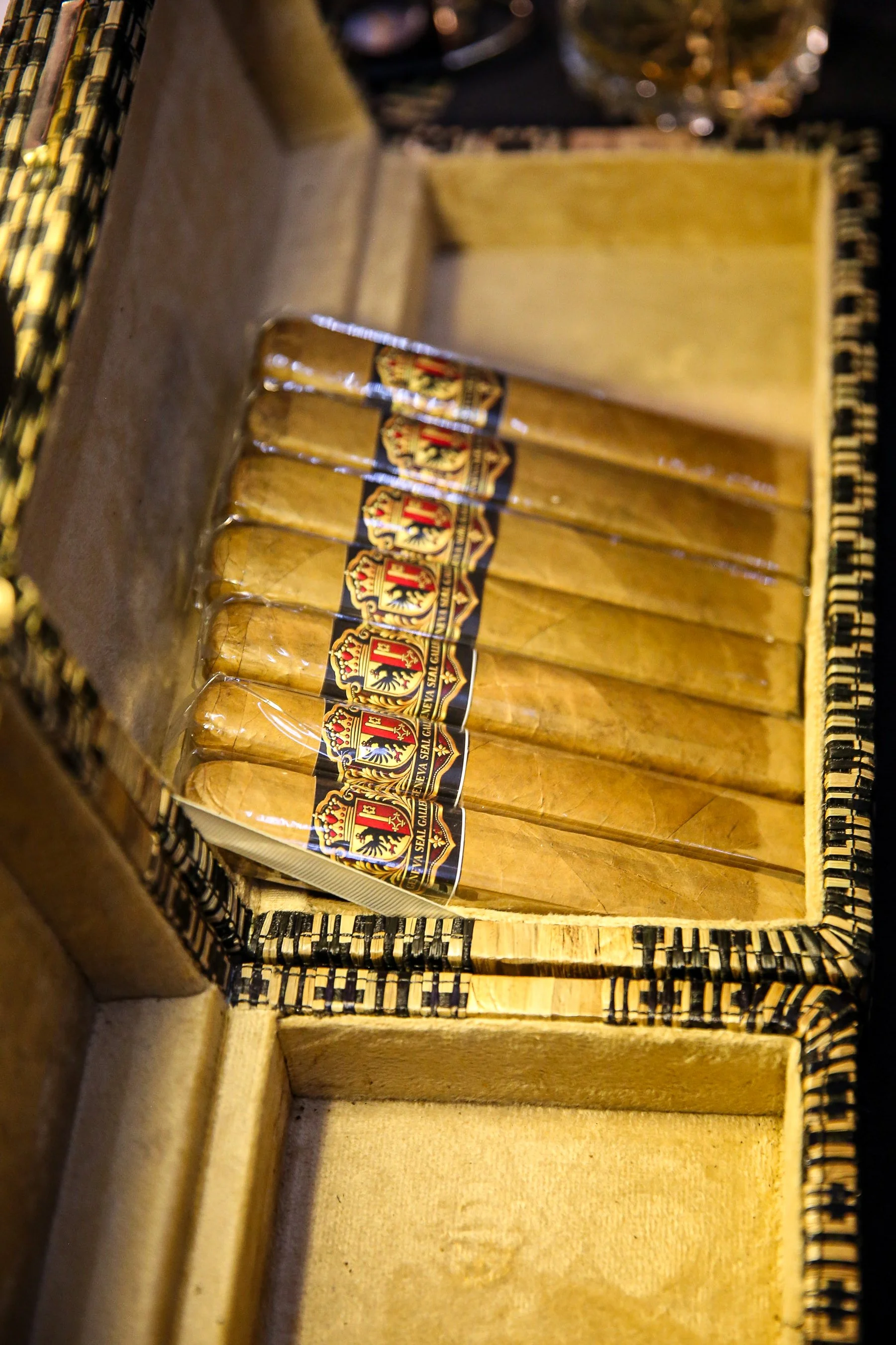 AF3A9494.jpg