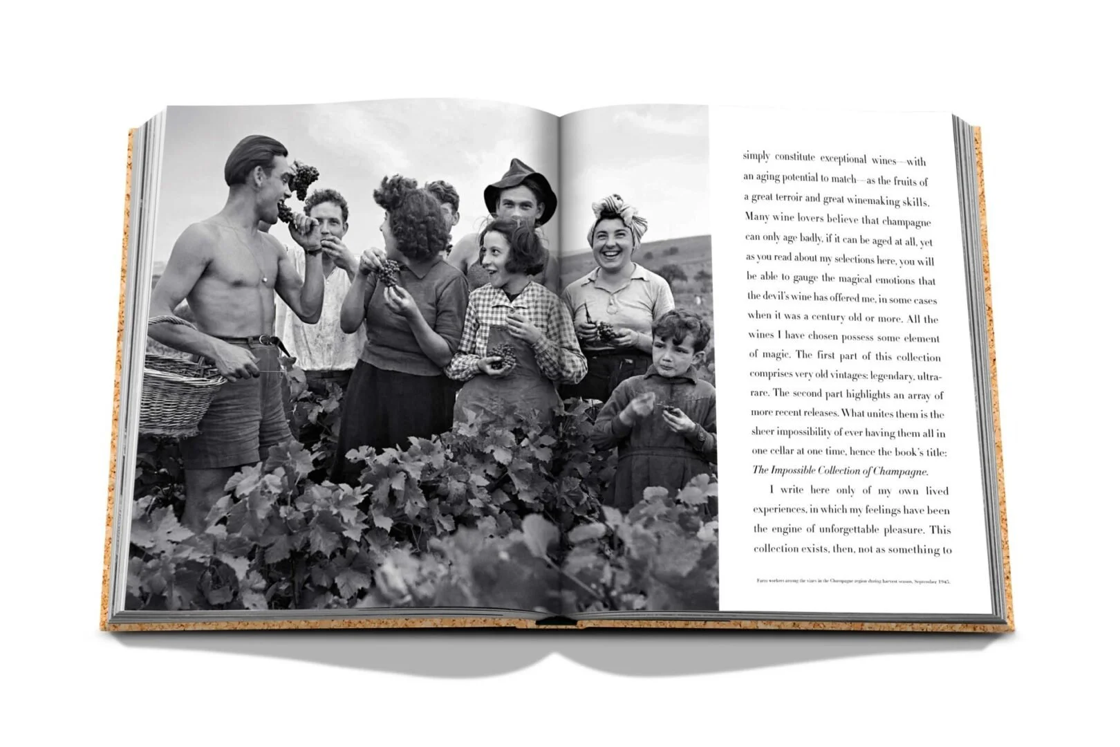ImpossibleChampagne_Spread_1-scaled.jpg
