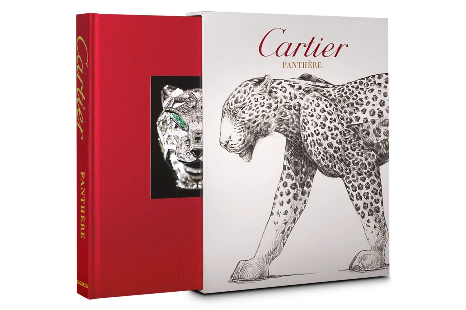 CARTIER-PANTHERE-scaled.jpg