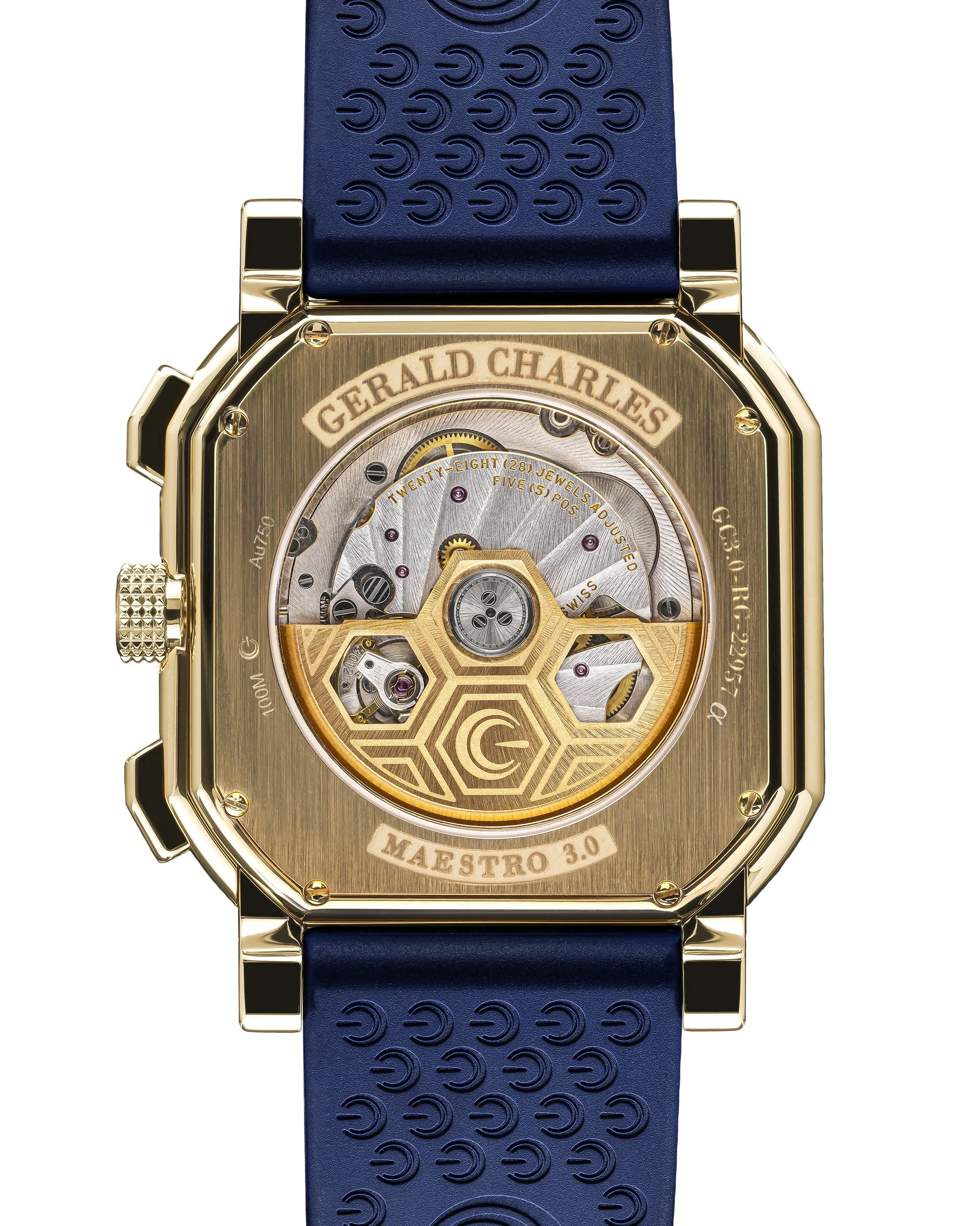 GC30-RG-01_Back.jpg