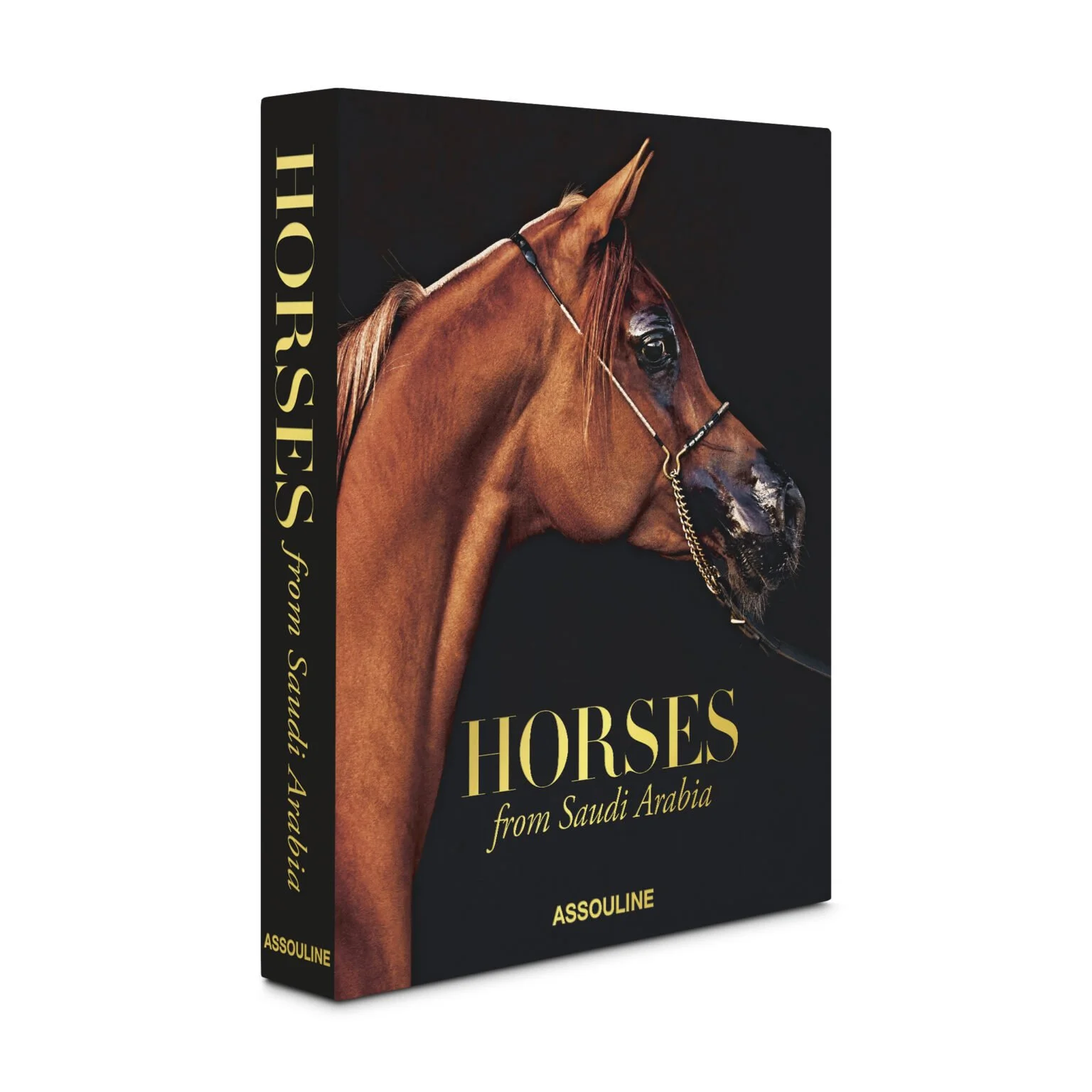 Horses From Saudi Arabia