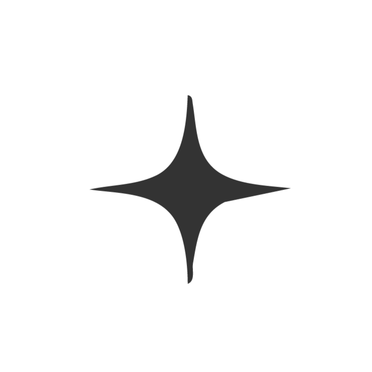 A black, four-pointed star shape with elongated, curved points on a white background.