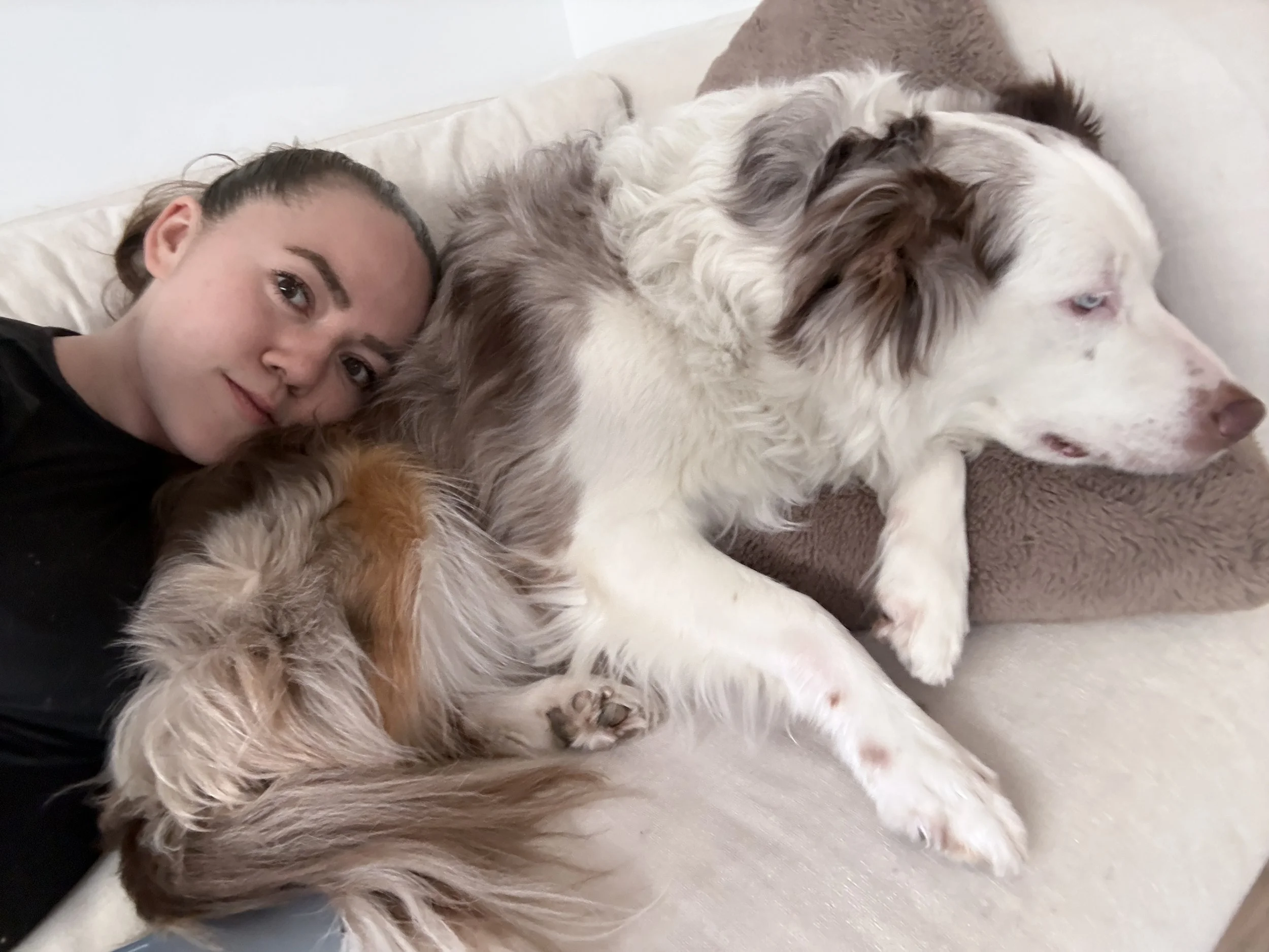 A young woman lying on a sofa with a large white and brown Australian Shepherd dog. The dog is lying on its side, resting its head on a brown blanket, with one eye open. The woman is resting her head near the dog’s shoulder, looking at the camera.