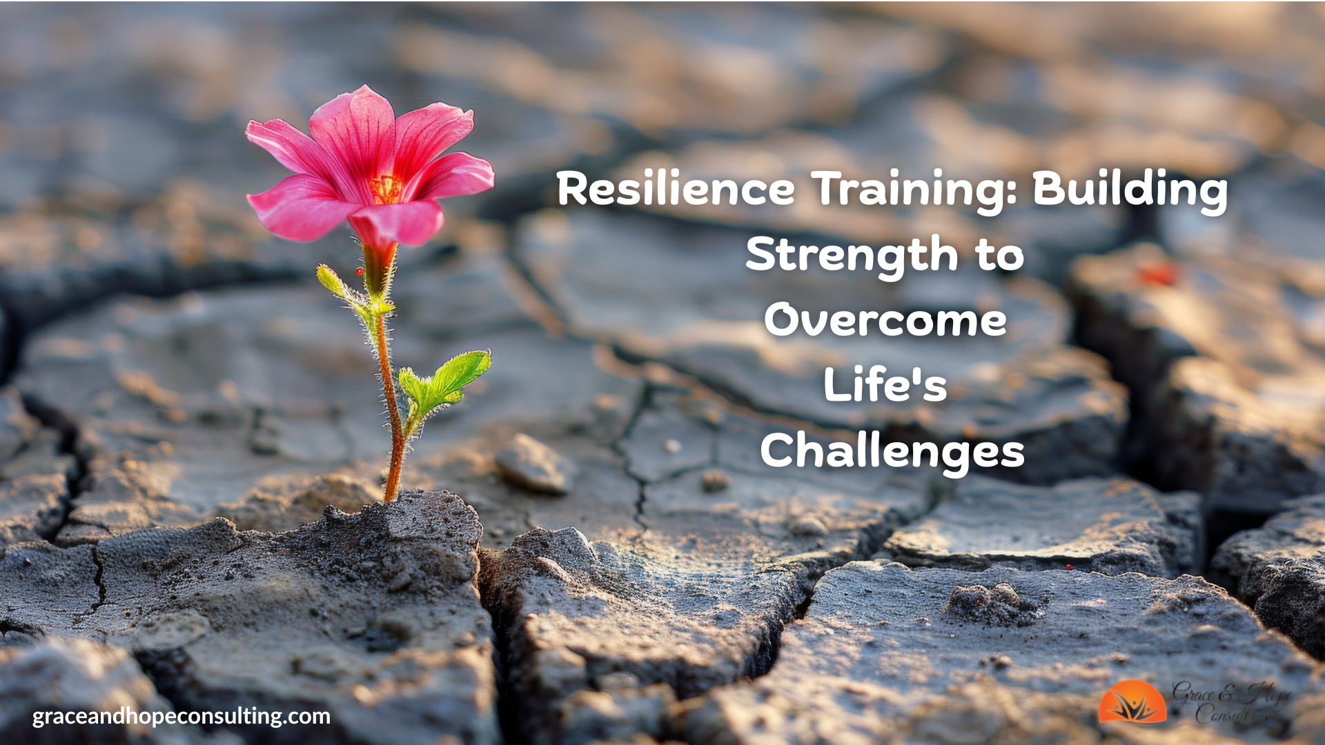  Resilience Training: Building Strength to Overcome Life's Challenges