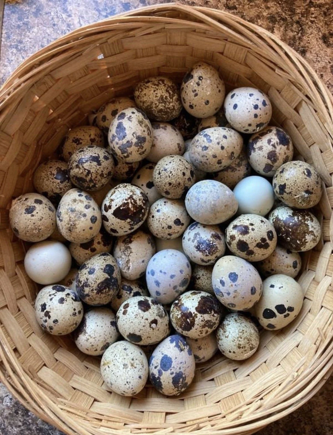 A Little Egg Packed With Big Nutrition