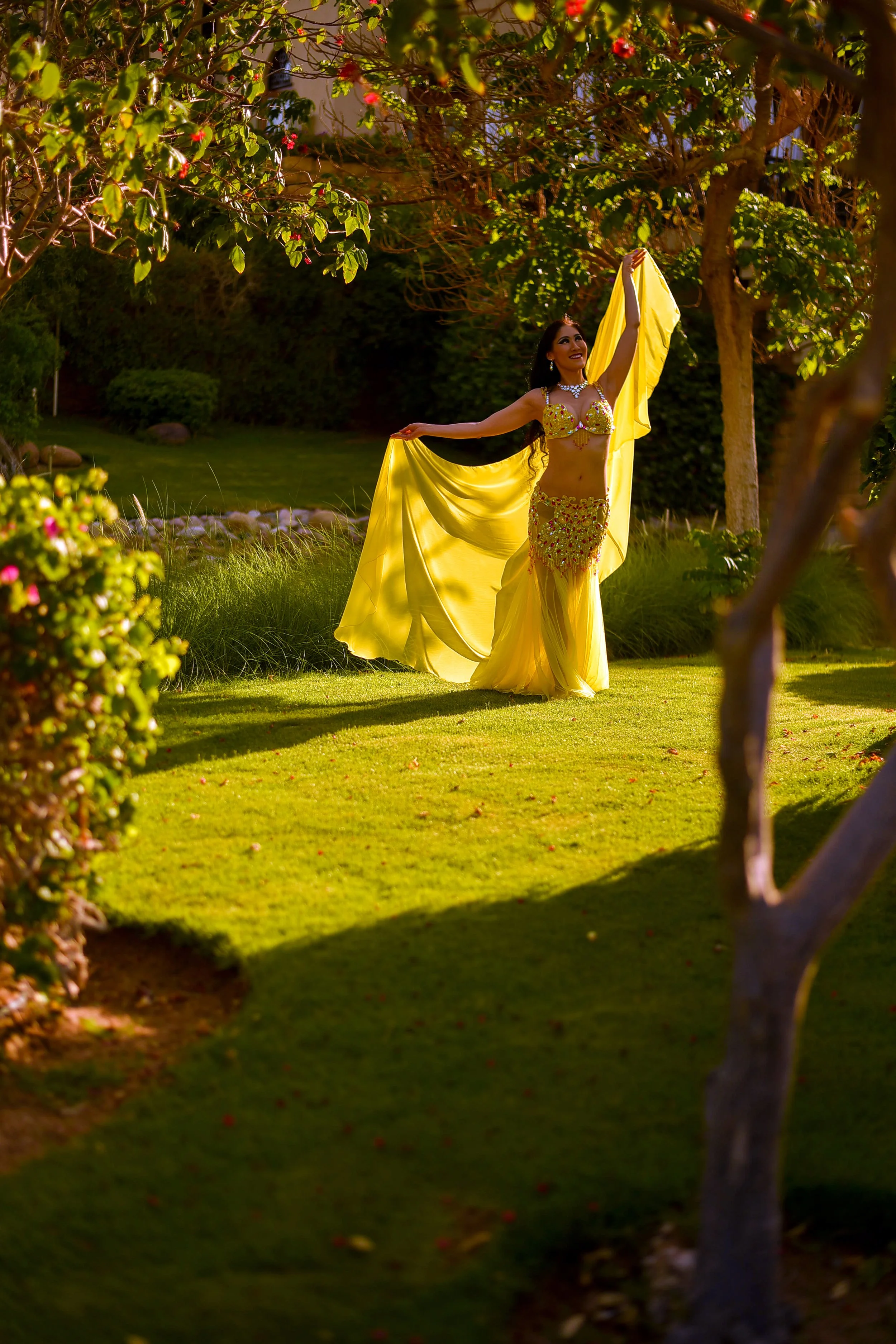 Yellow.GardenLArmsSun.JPG
