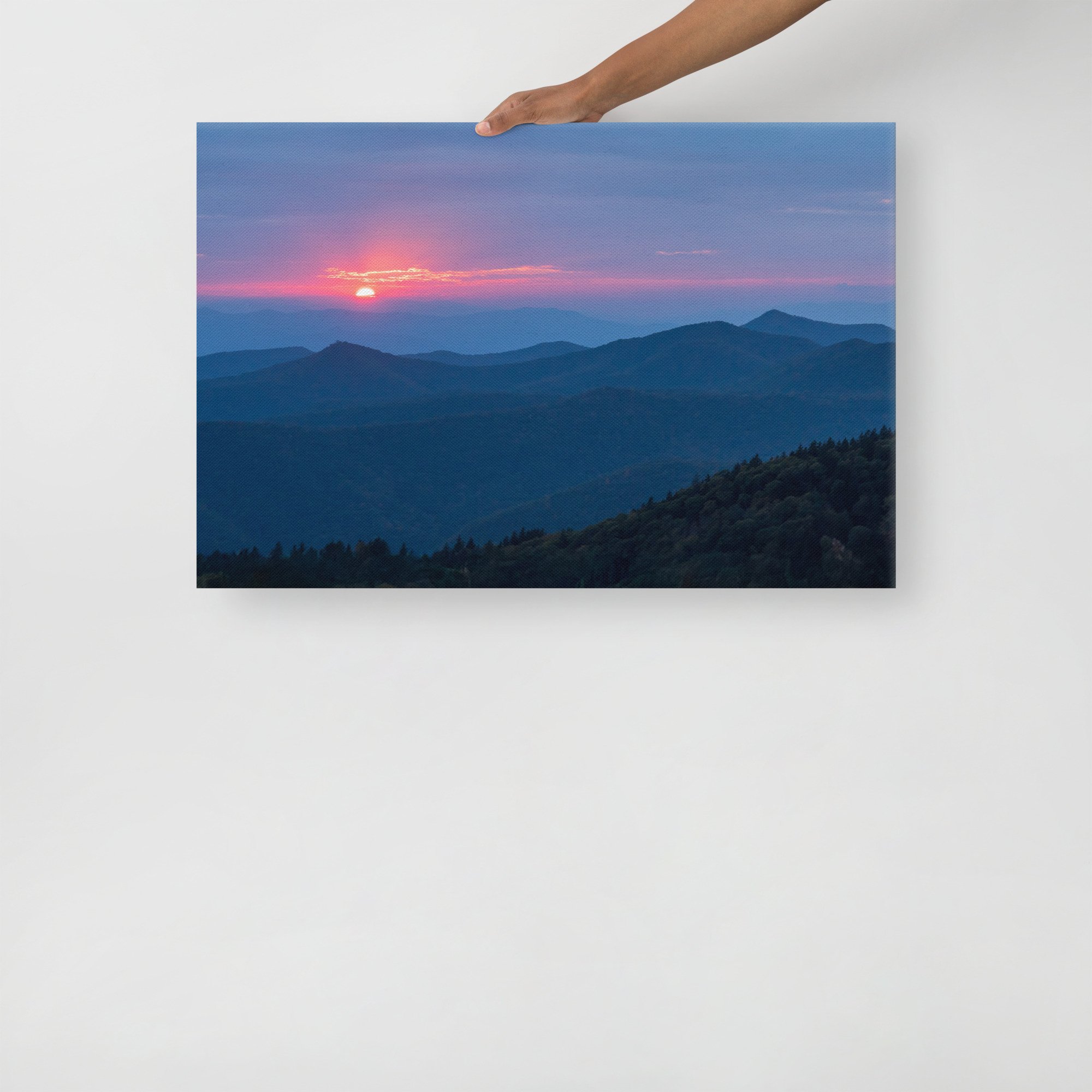 thin-canvas-(in)-20x30-front-6797edc125a33.jpg