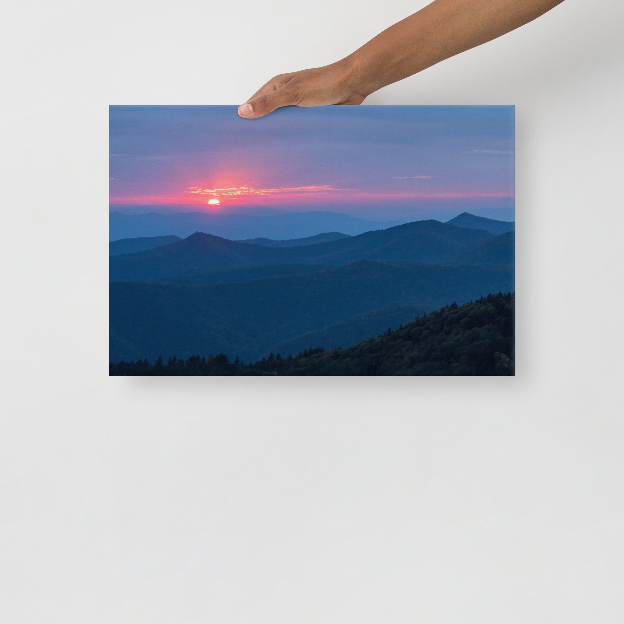 thin-canvas-(in)-12x18-front-6797edc126278.jpg