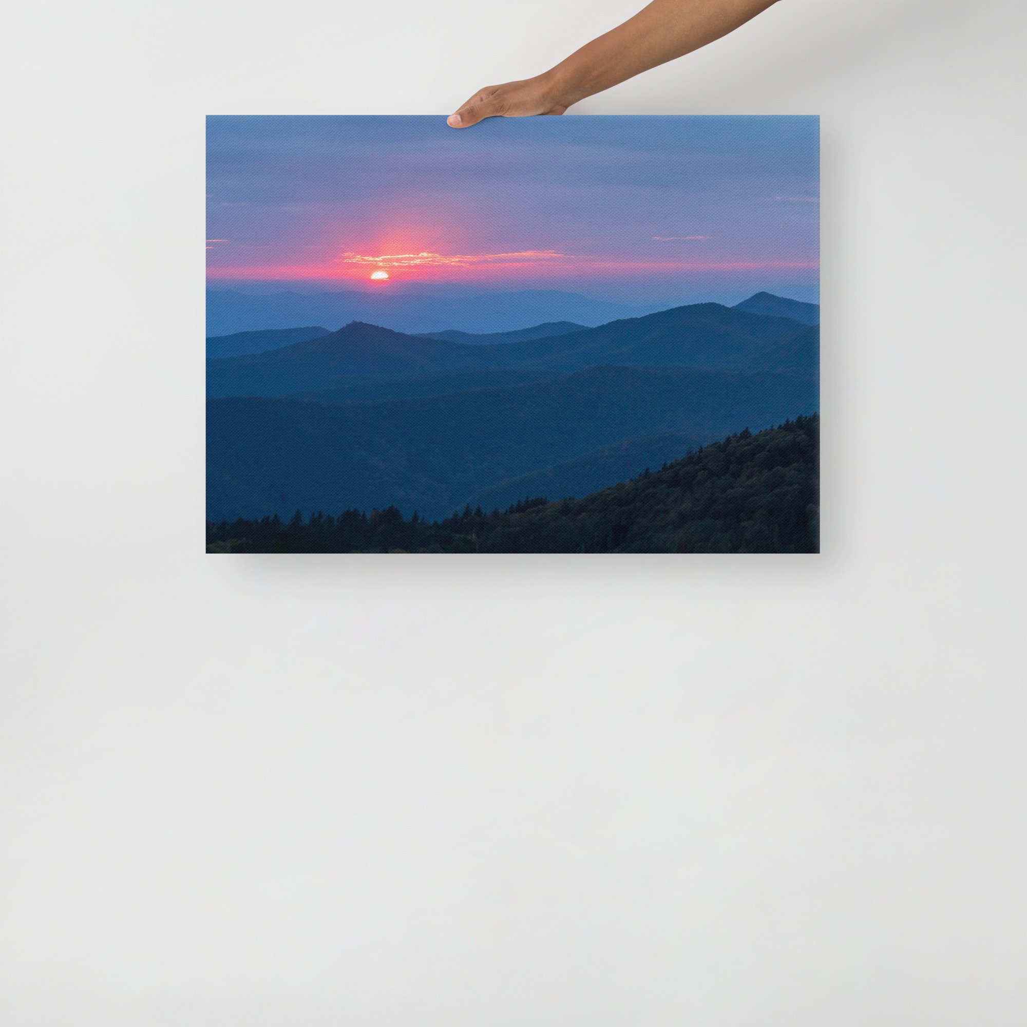 thin-canvas-(in)-20x28-front-6797edc126317.jpg