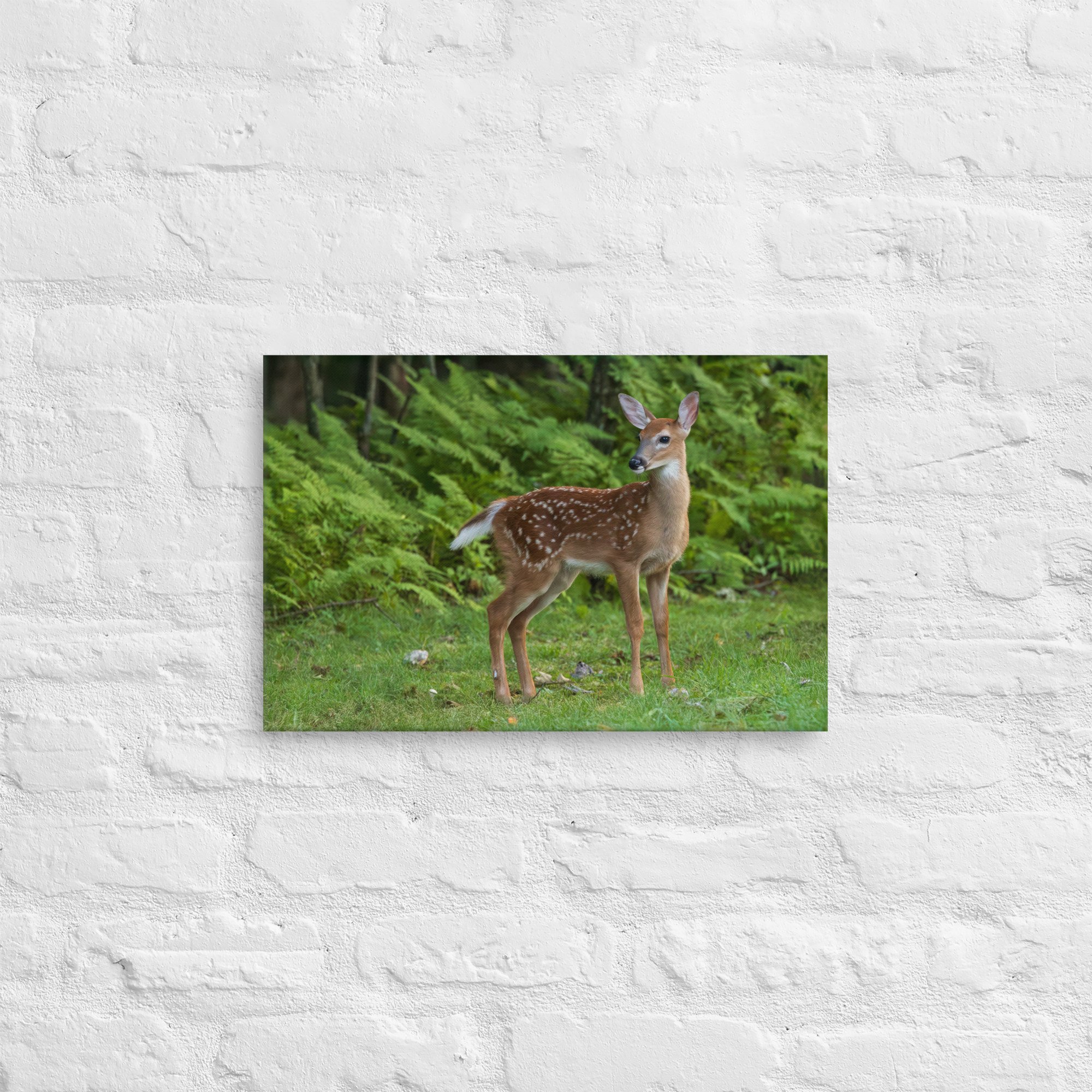 thin-canvas-(in)-12x18-front-6798ecb544f45.jpg