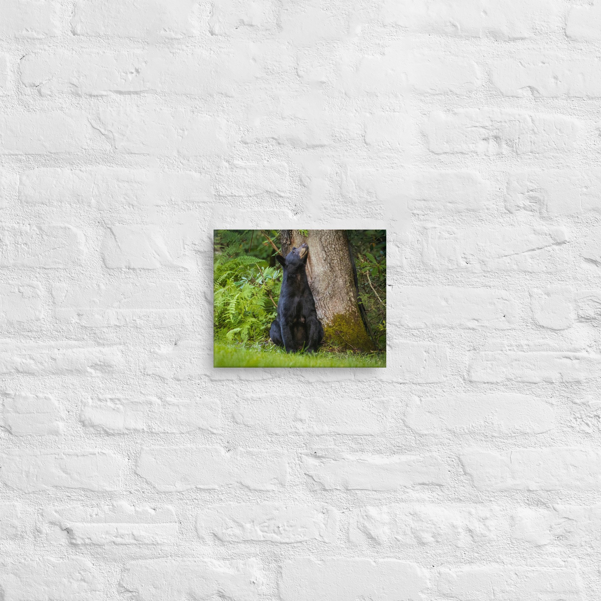 thin-canvas-(in)-8x10-front-679938bfa7292.jpg