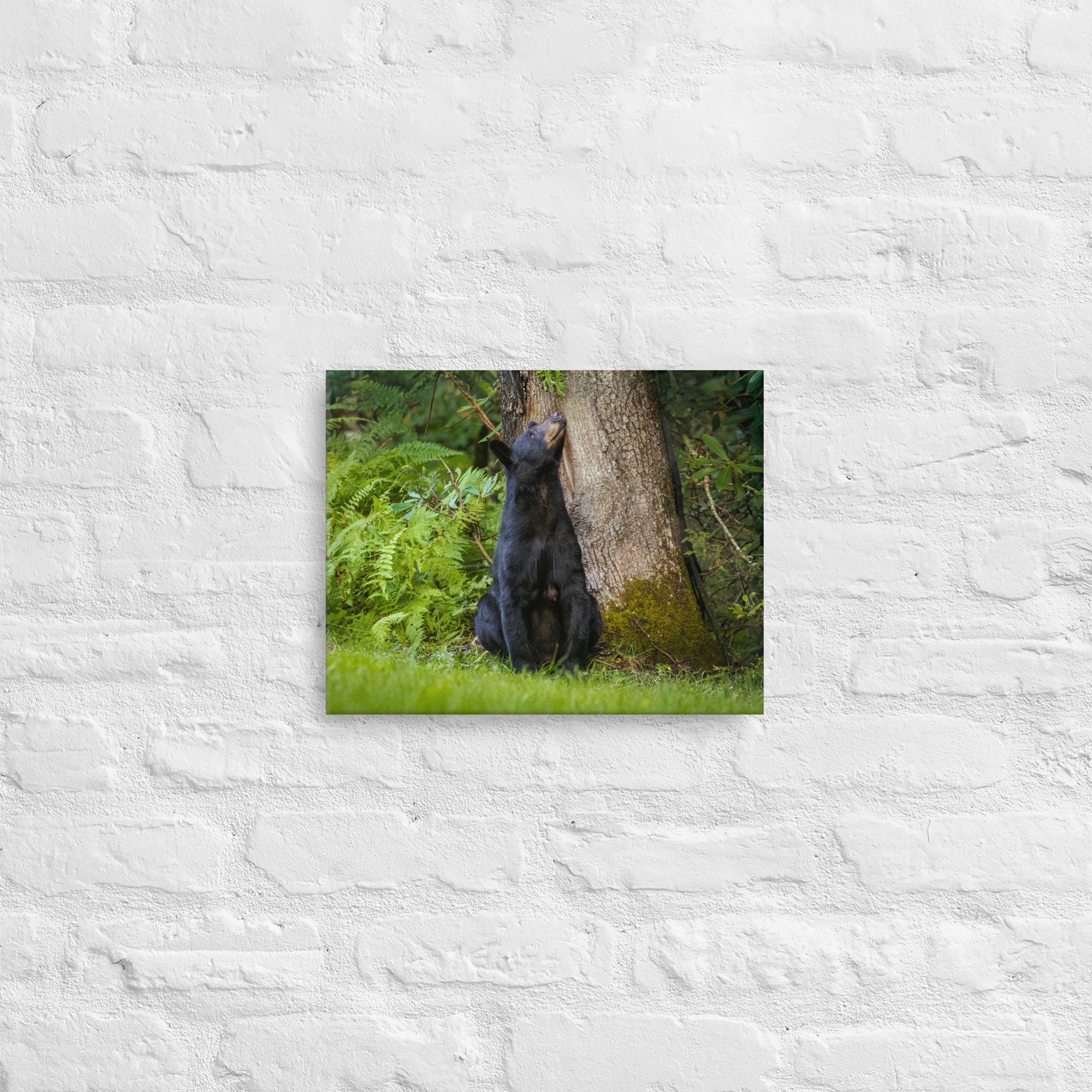thin-canvas-(in)-11x14-front-67993b80604ff.jpg