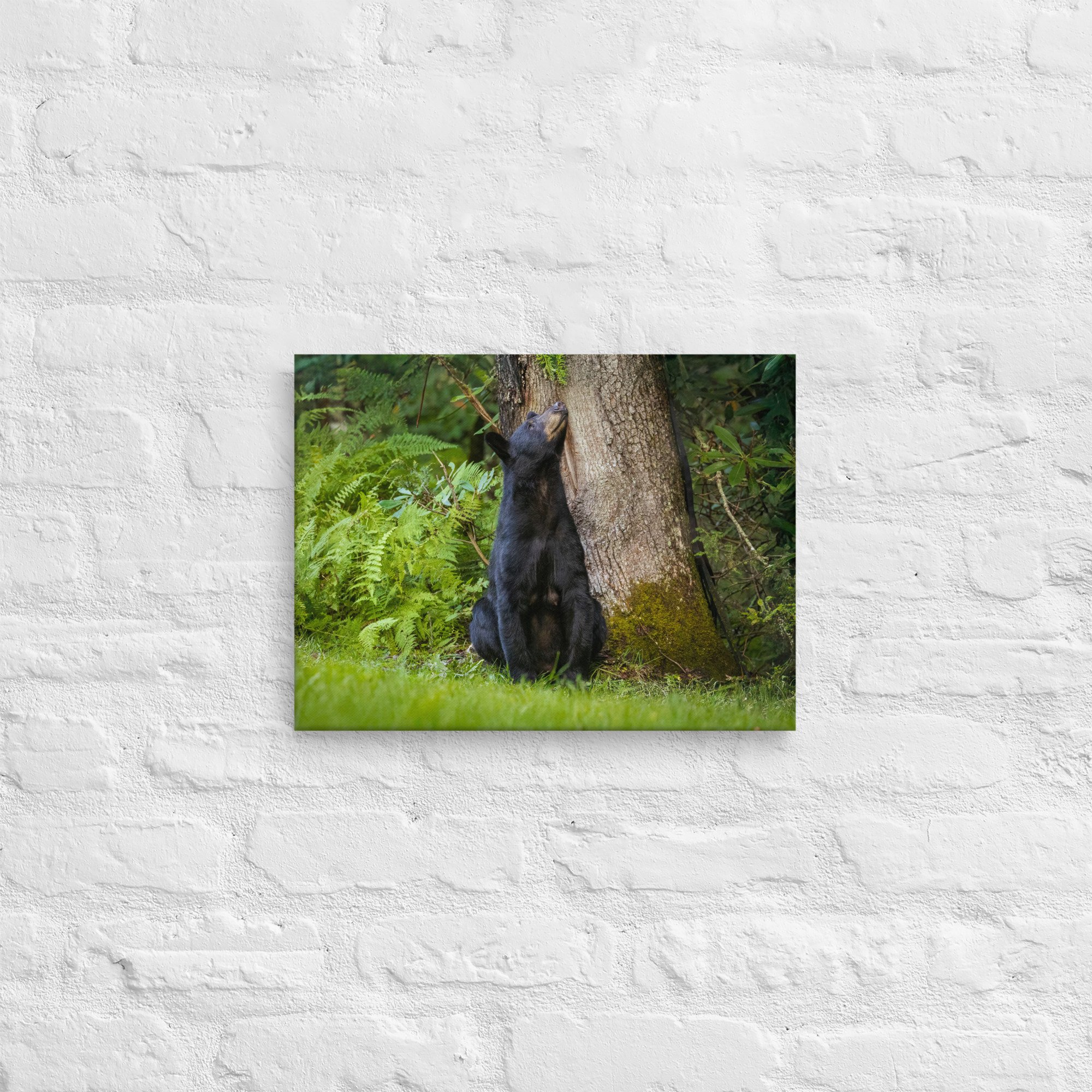 thin-canvas-(in)-12x16-front-67993bd527dc2.jpg