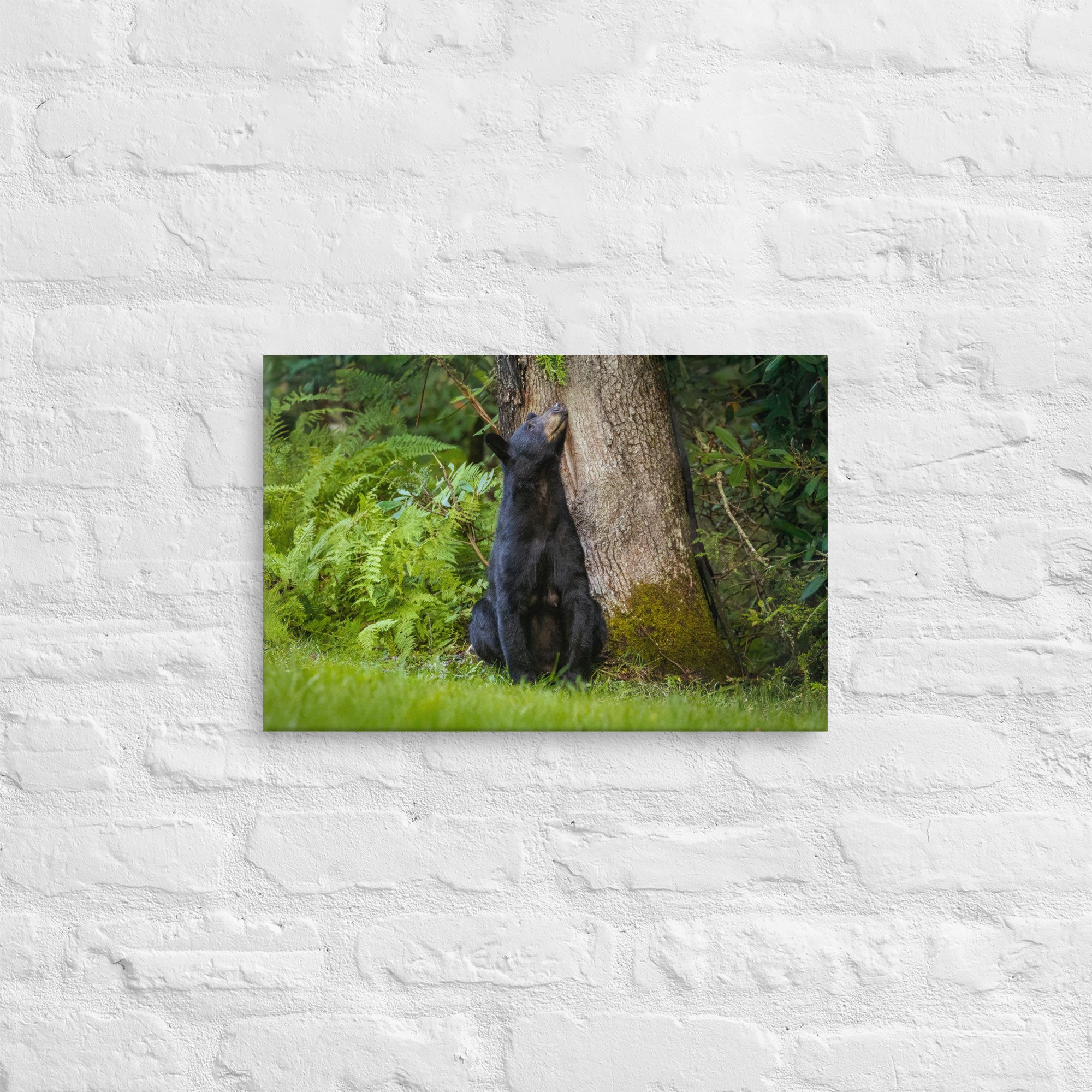 thin-canvas-(in)-12x18-front-67993c15ad91c.jpg