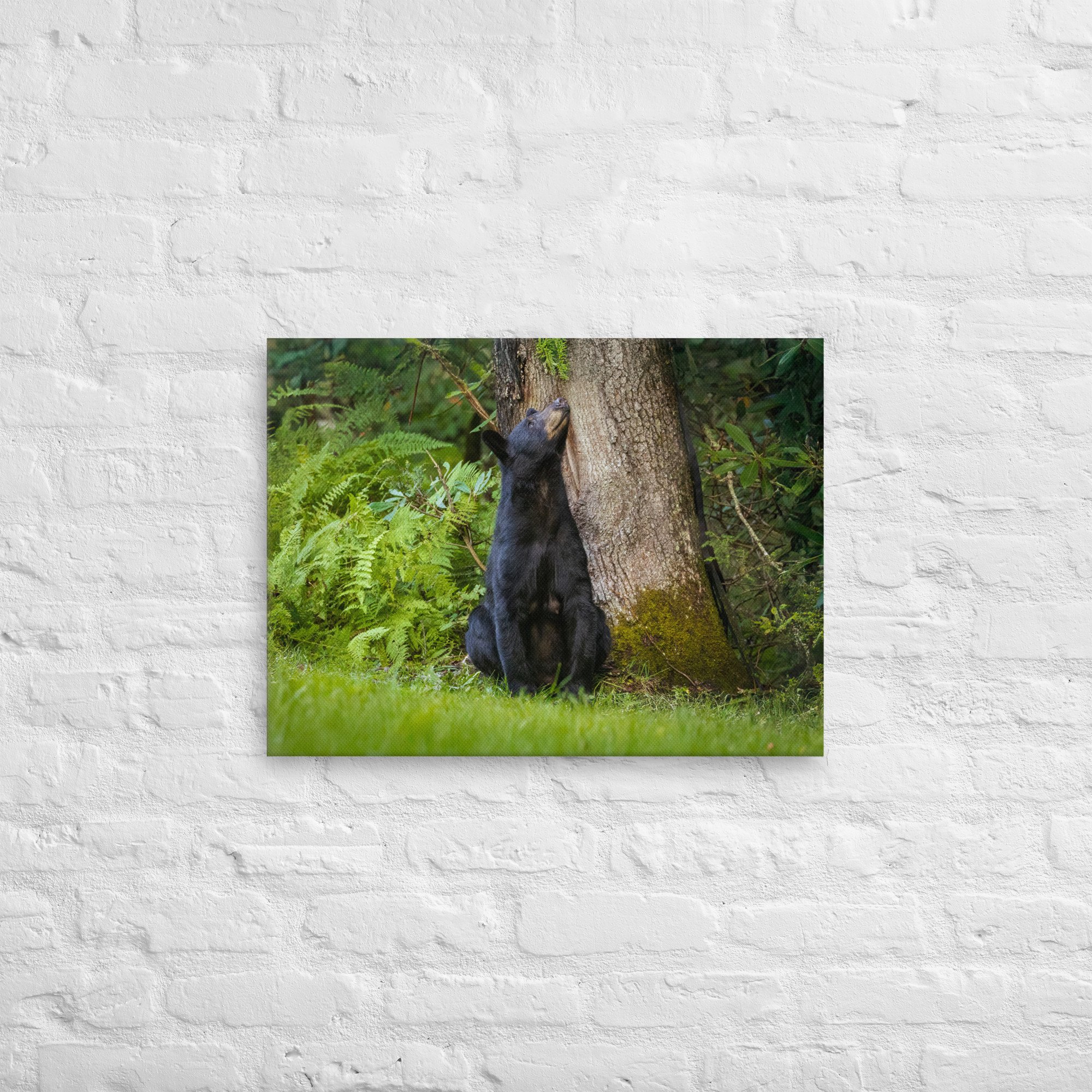 thin-canvas-(in)-18x24-front-67993c91e252a.jpg