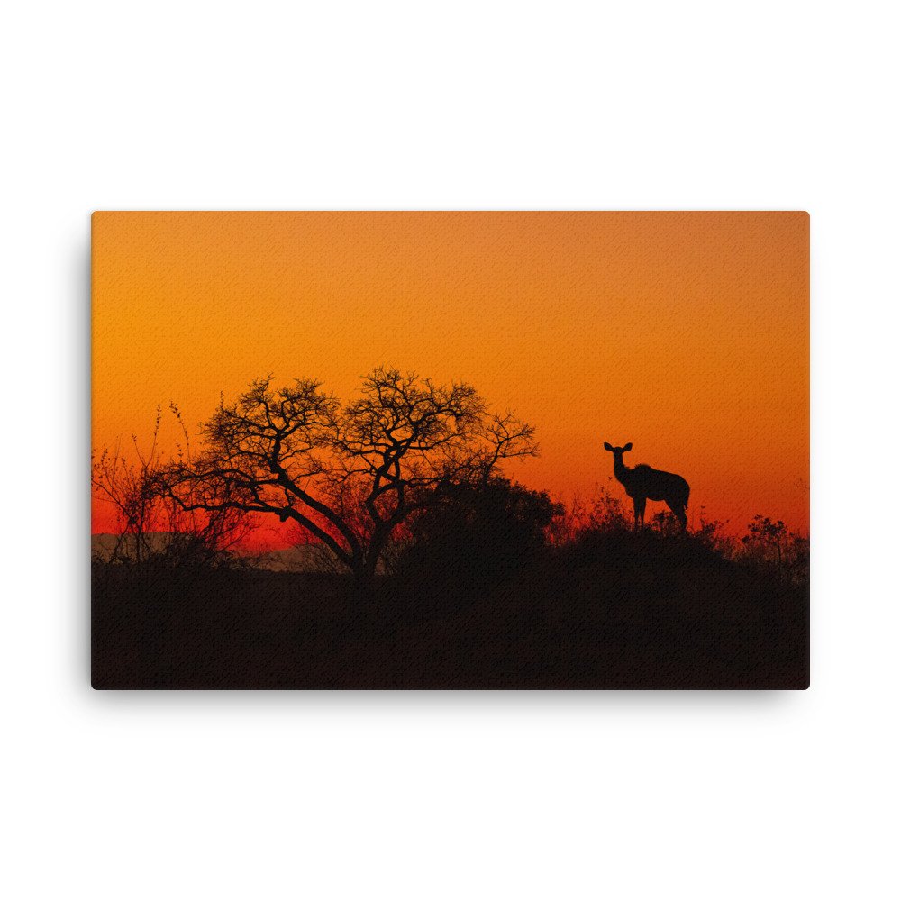 thin-canvas-(in)-20x30-front-679ab2aaca7cf.jpg