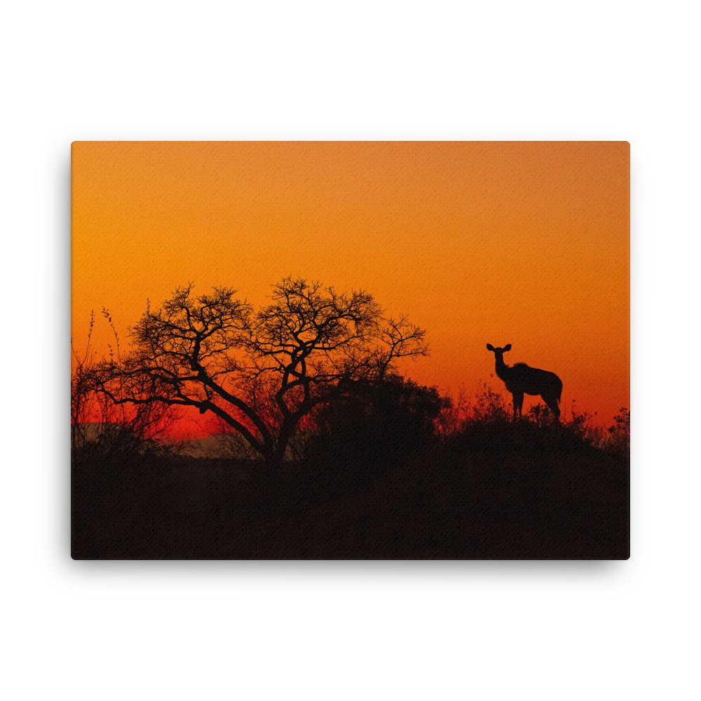 thin-canvas-(in)-18x24-front-679ab2aacadd5.jpg
