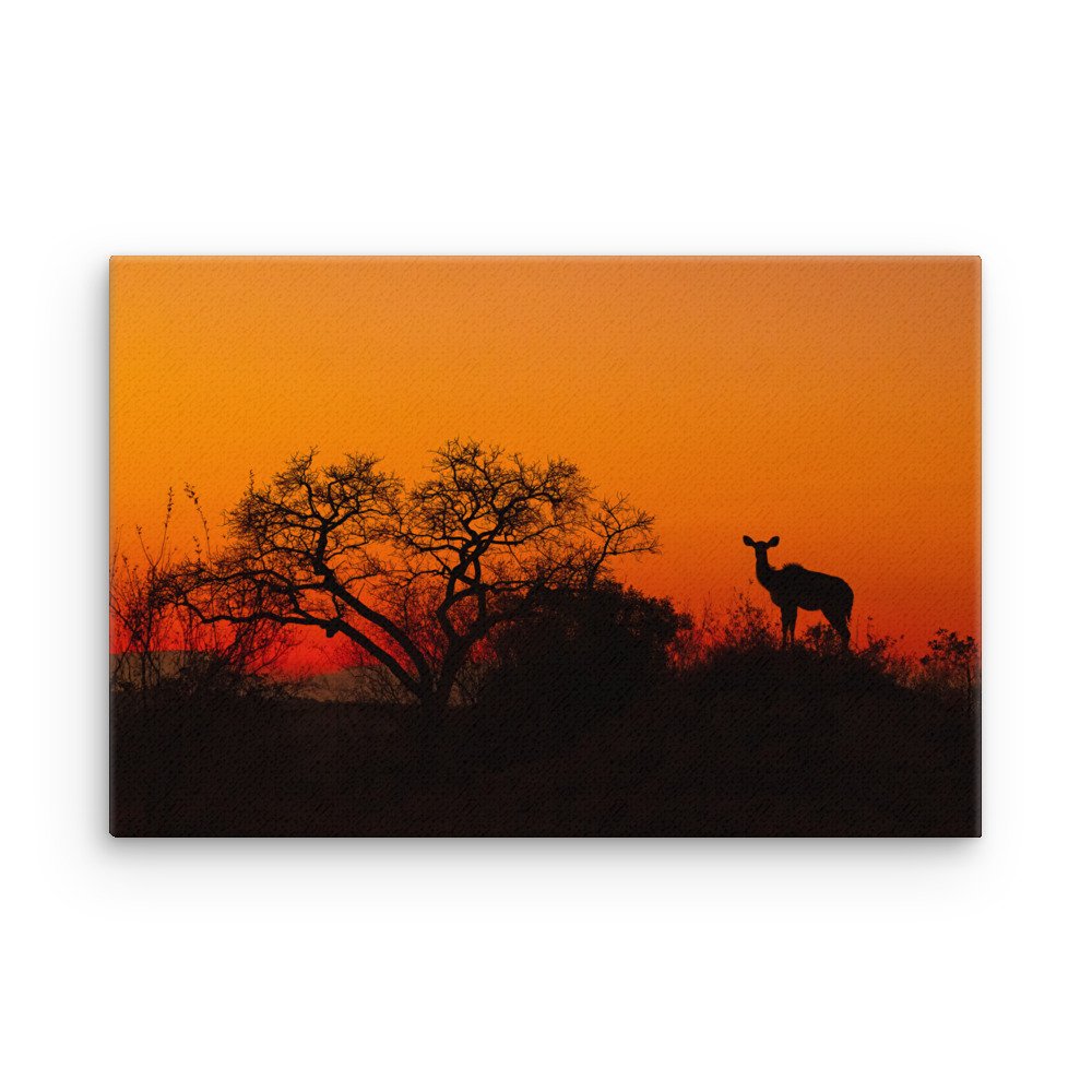 thin-canvas-(in)-12x18-front-679ab2aacaec5.jpg
