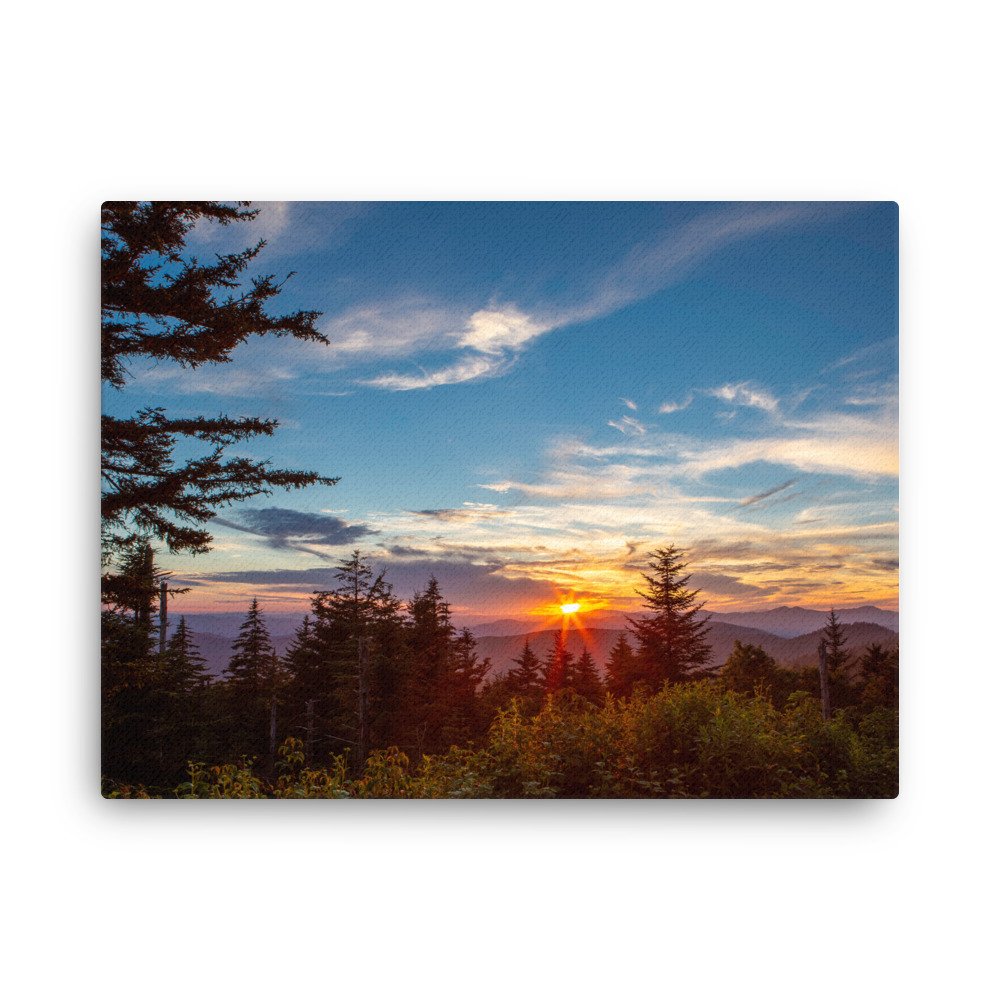 thin-canvas-(in)-18x24-front-67a3df8e6c1c8.jpg