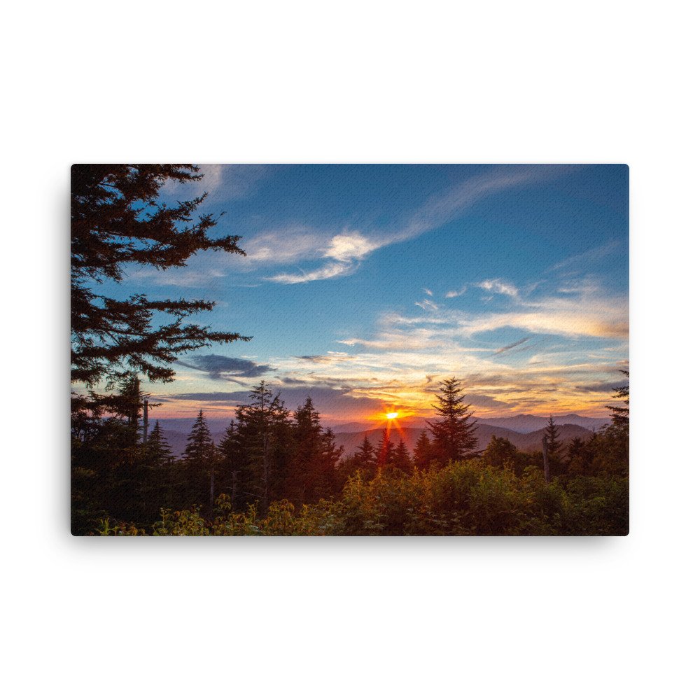 thin-canvas-(in)-24x36-front-67a3df8e6c9e8.jpg