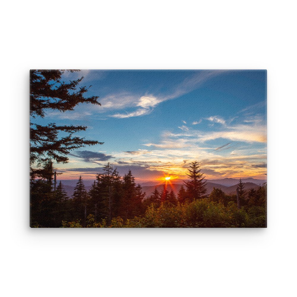 thin-canvas-(in)-12x18-front-67a3df8e6cac7.jpg