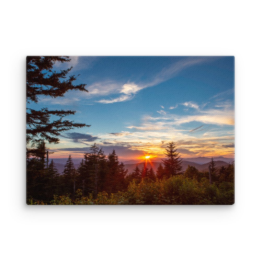 thin-canvas-(in)-20x28-front-67a3df8e6cb76.jpg