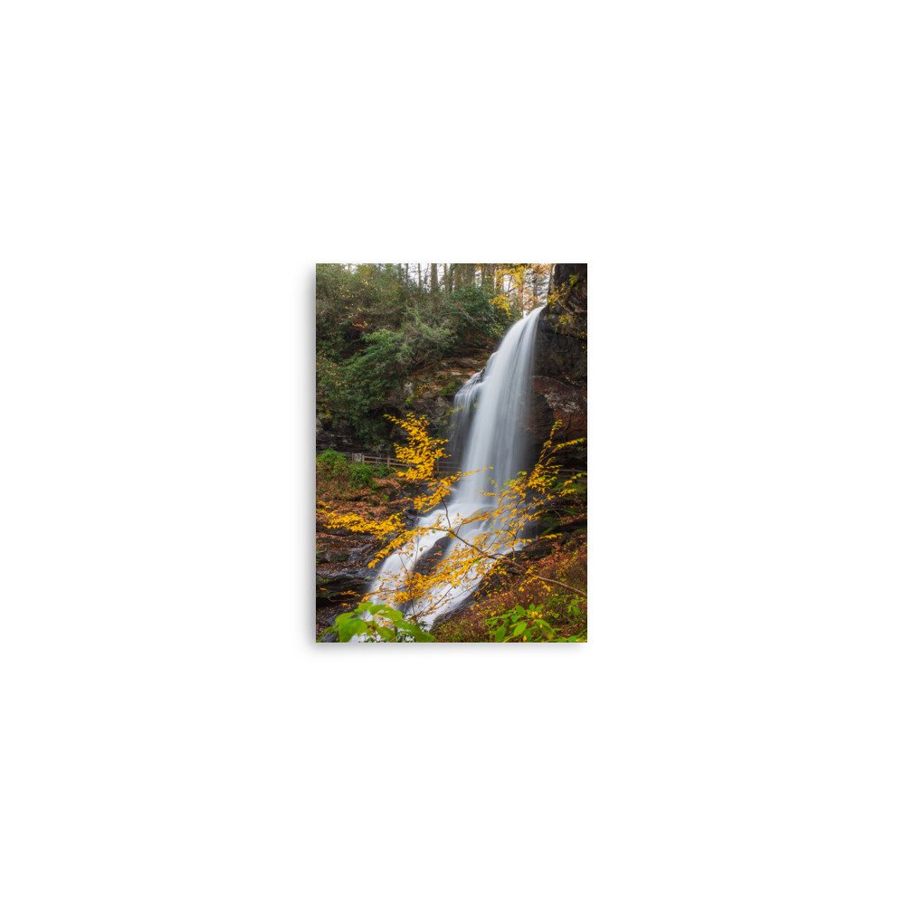 enhanced-matte-paper-poster-(in)-5x7-front-67a7ba5e0ccd8.jpg
