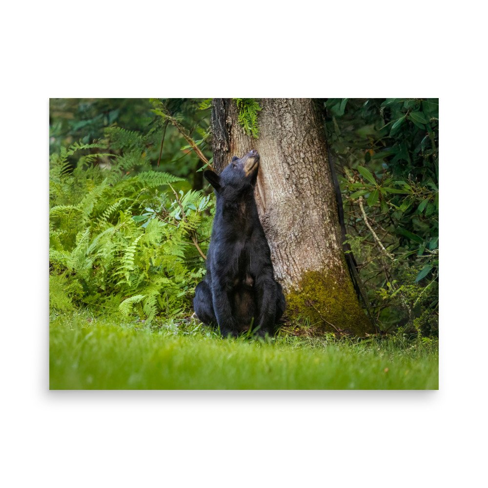 enhanced-matte-paper-poster-(in)-18x24-front-67a7fe12060f9.jpg