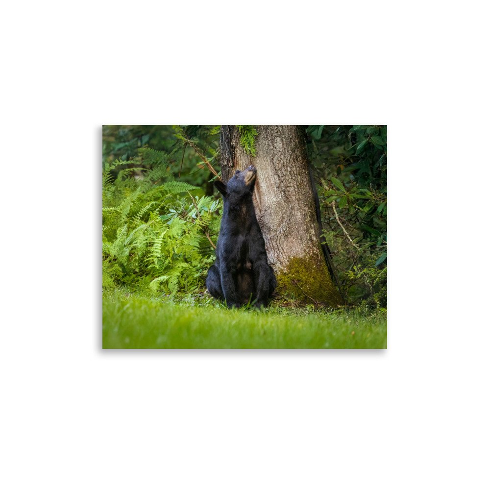 enhanced-matte-paper-poster-(in)-11x14-front-67a7fe1206631.jpg