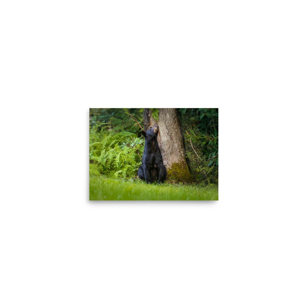 enhanced-matte-paper-poster-(in)-5x7-front-67a7fe12068bc.jpg