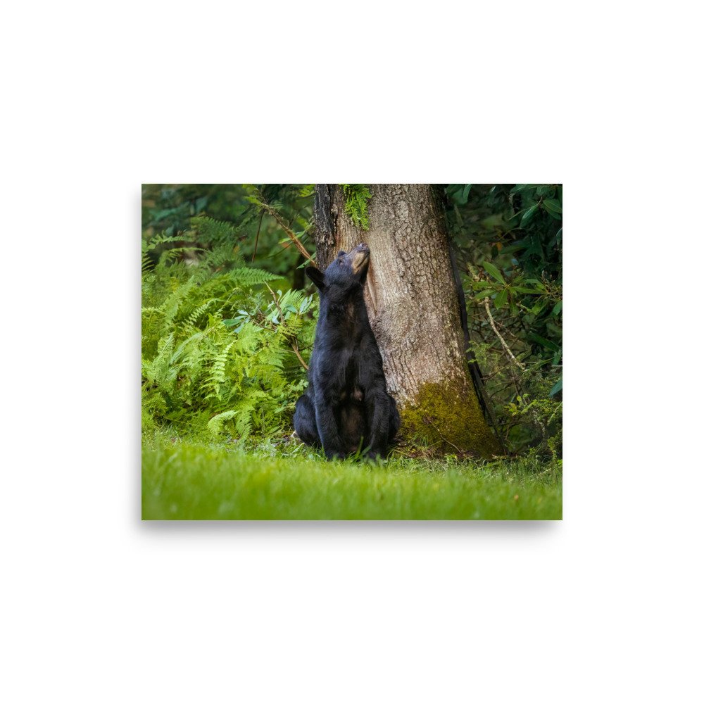enhanced-matte-paper-poster-(in)-8x10-front-67a7fe120695d.jpg