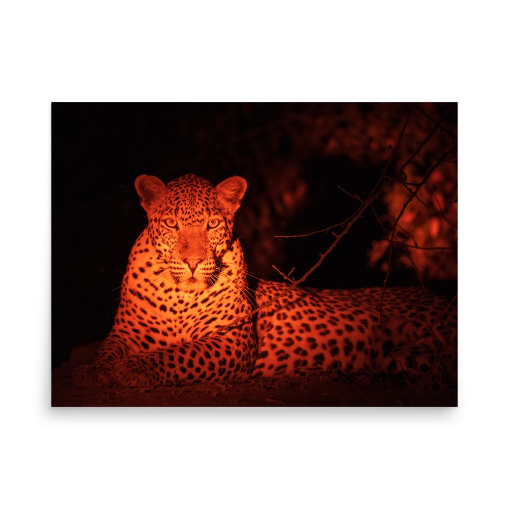 enhanced-matte-paper-poster-(in)-18x24-front-67a8001988235.jpg