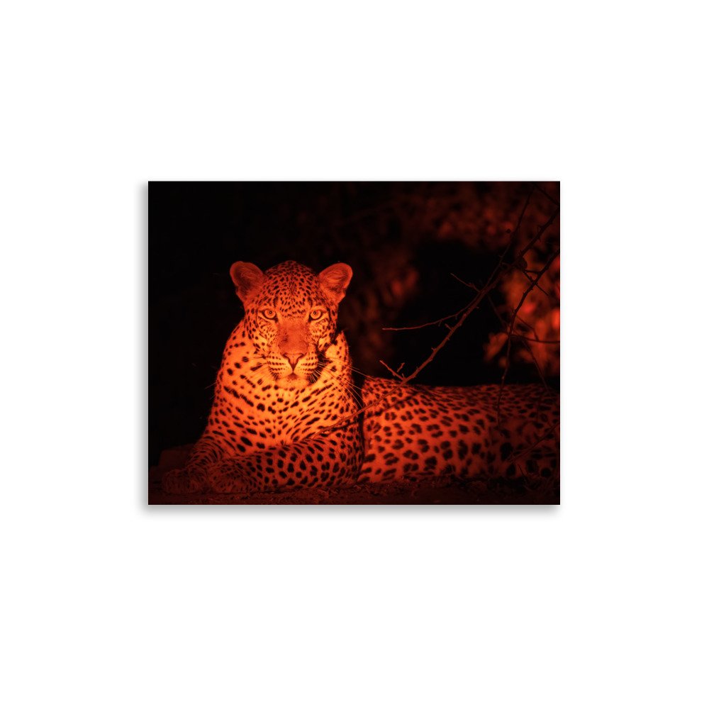 enhanced-matte-paper-poster-(in)-11x14-front-67a8001988cbb.jpg