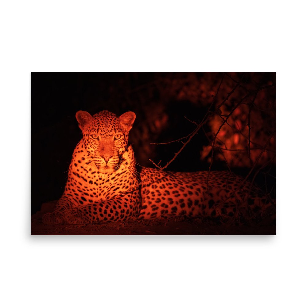 enhanced-matte-paper-poster-(in)-24x36-front-67a8001988e70.jpg