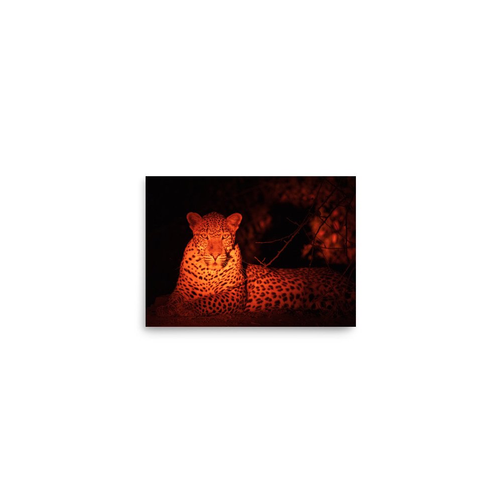 enhanced-matte-paper-poster-(in)-5x7-front-67a8001988f13.jpg