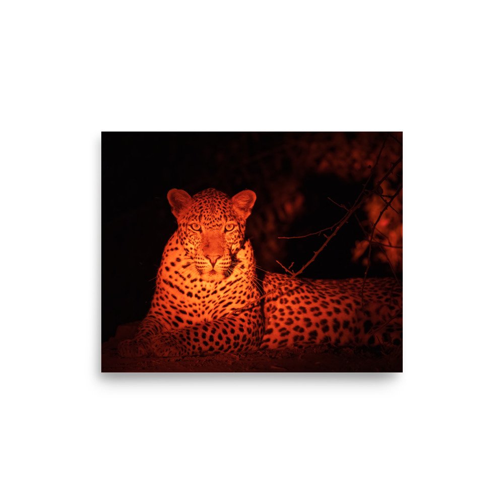 enhanced-matte-paper-poster-(in)-8x10-front-67a8001988fa5.jpg