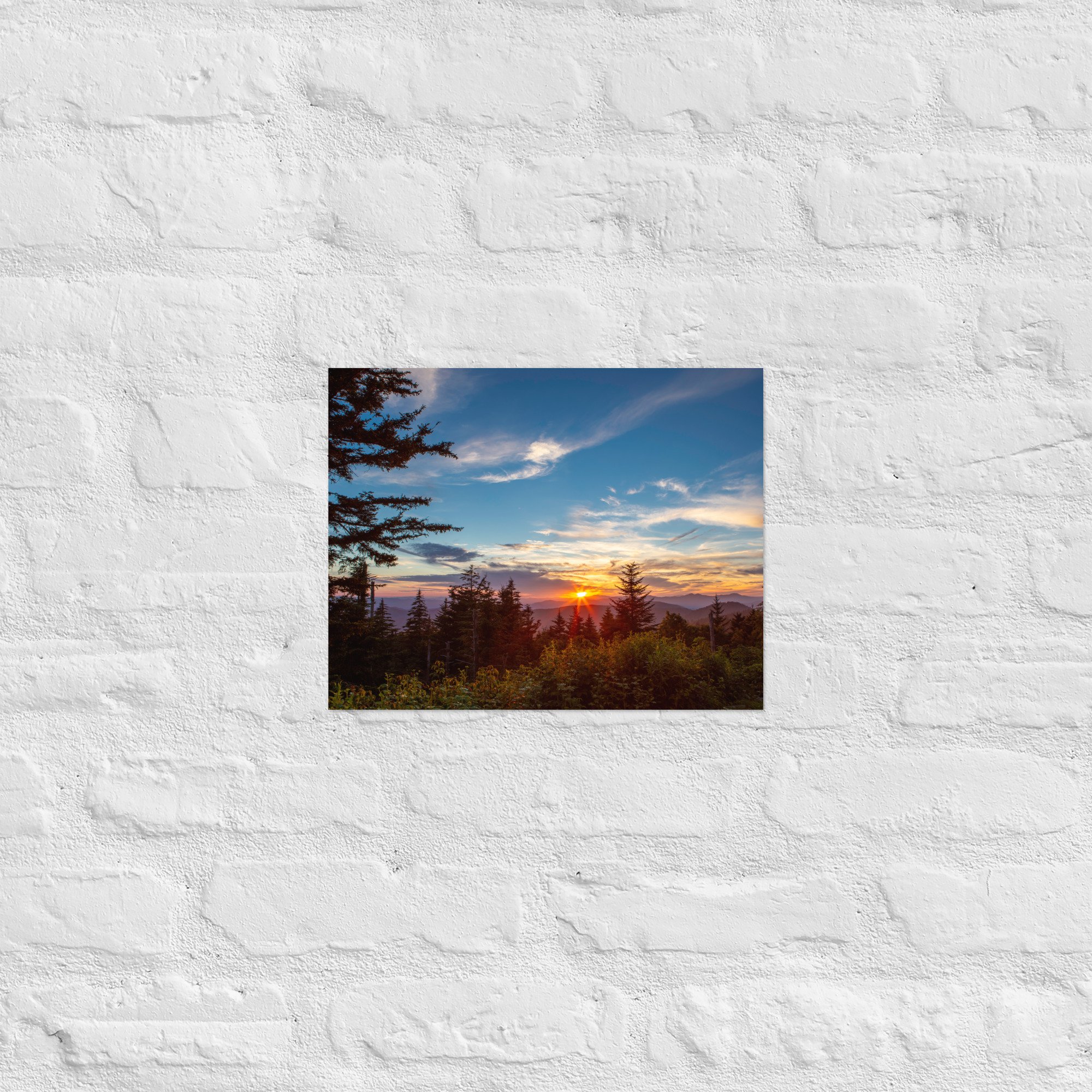 enhanced-matte-paper-poster-(in)-11x14-front-67a8029718ba5.jpg
