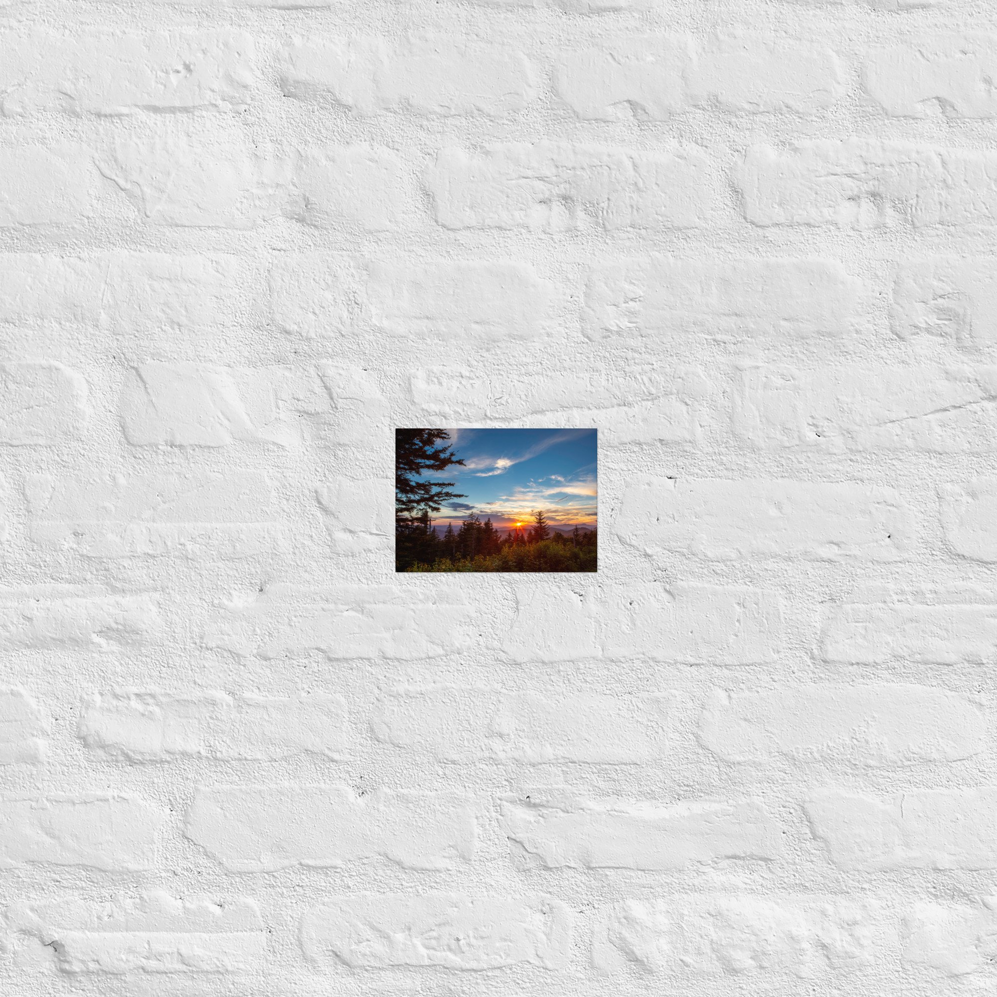 enhanced-matte-paper-poster-(in)-5x7-front-67a8029718e0a.jpg