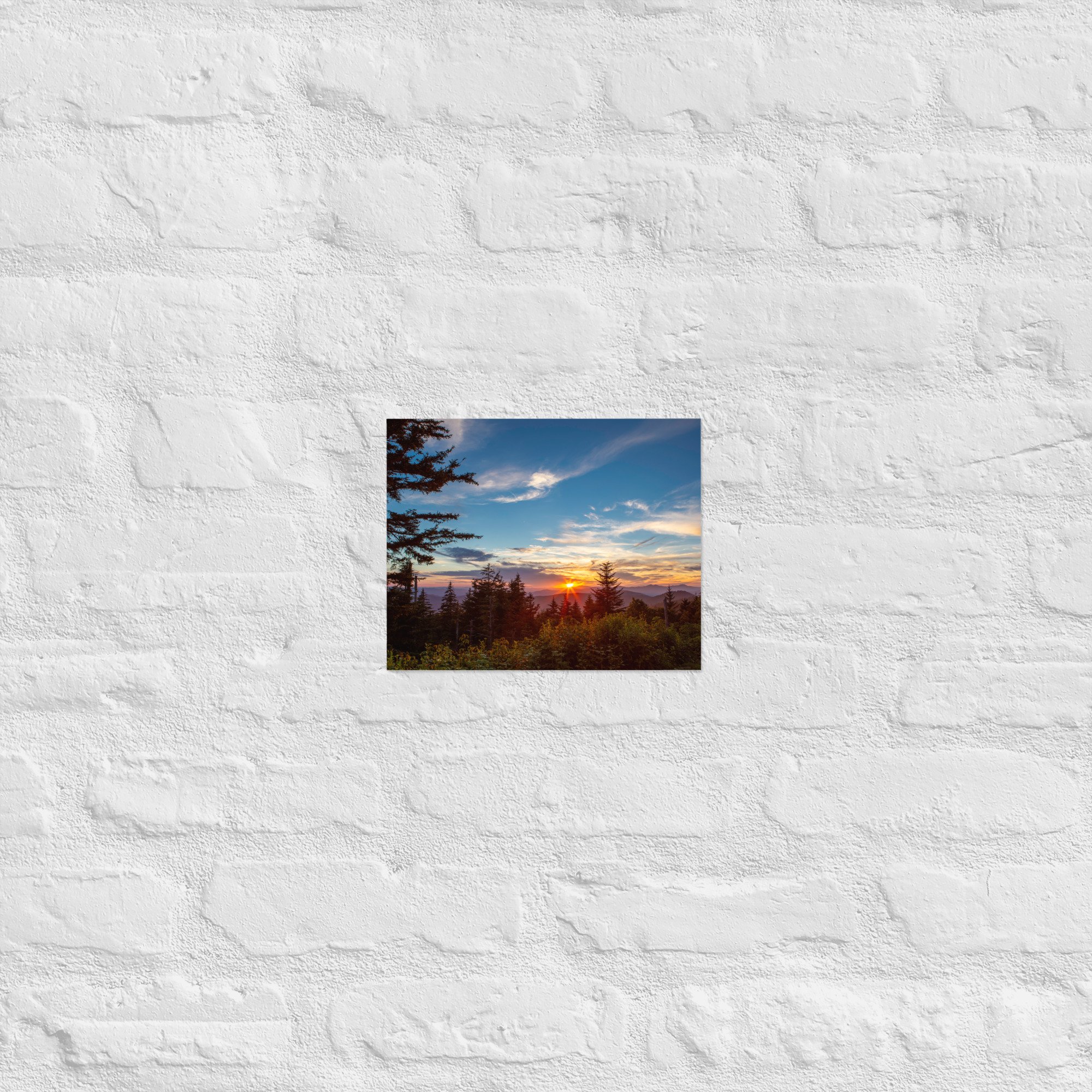 enhanced-matte-paper-poster-(in)-8x10-front-67a8029718ea9.jpg