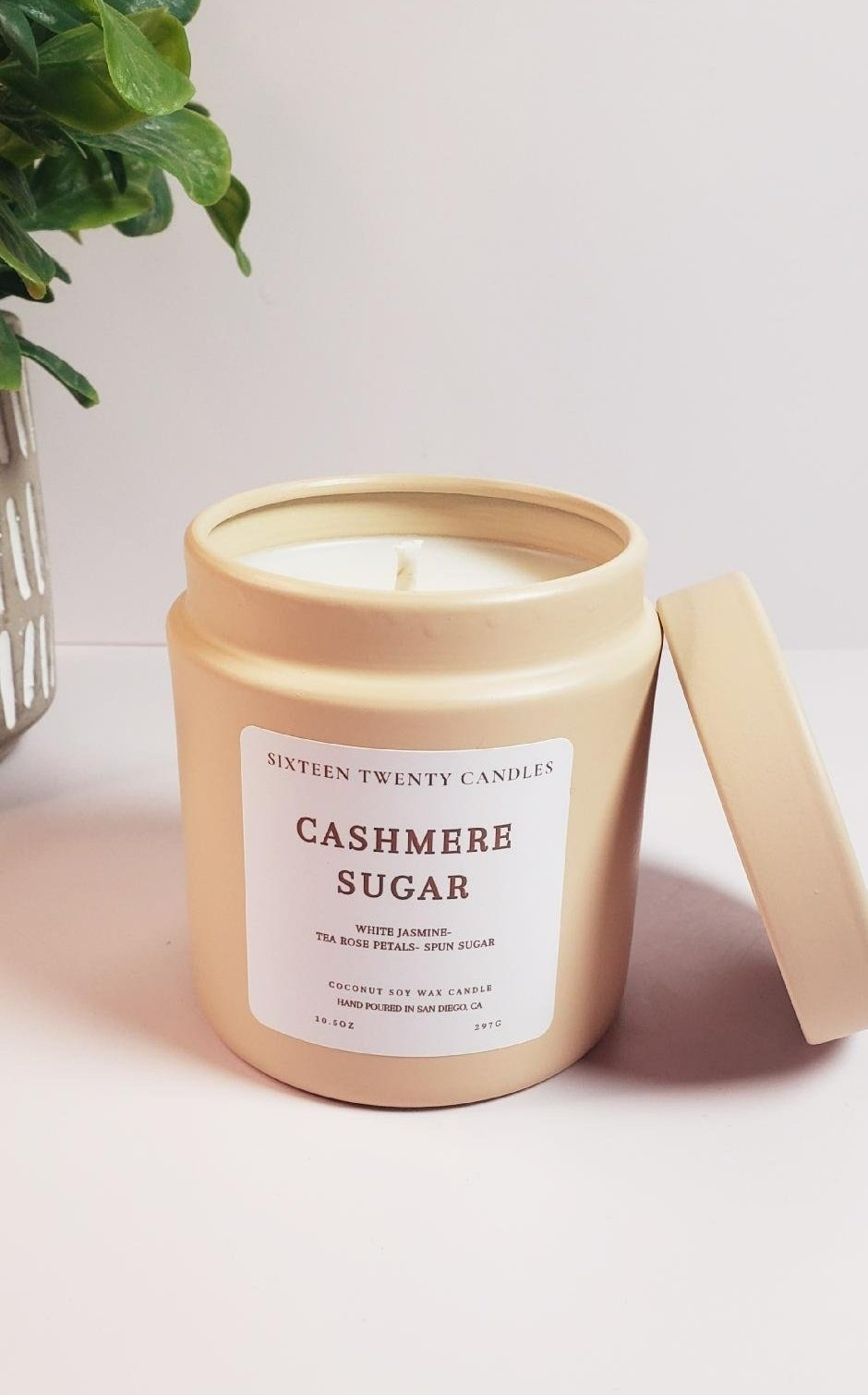 cashmere+sugar+pic+2.jpg