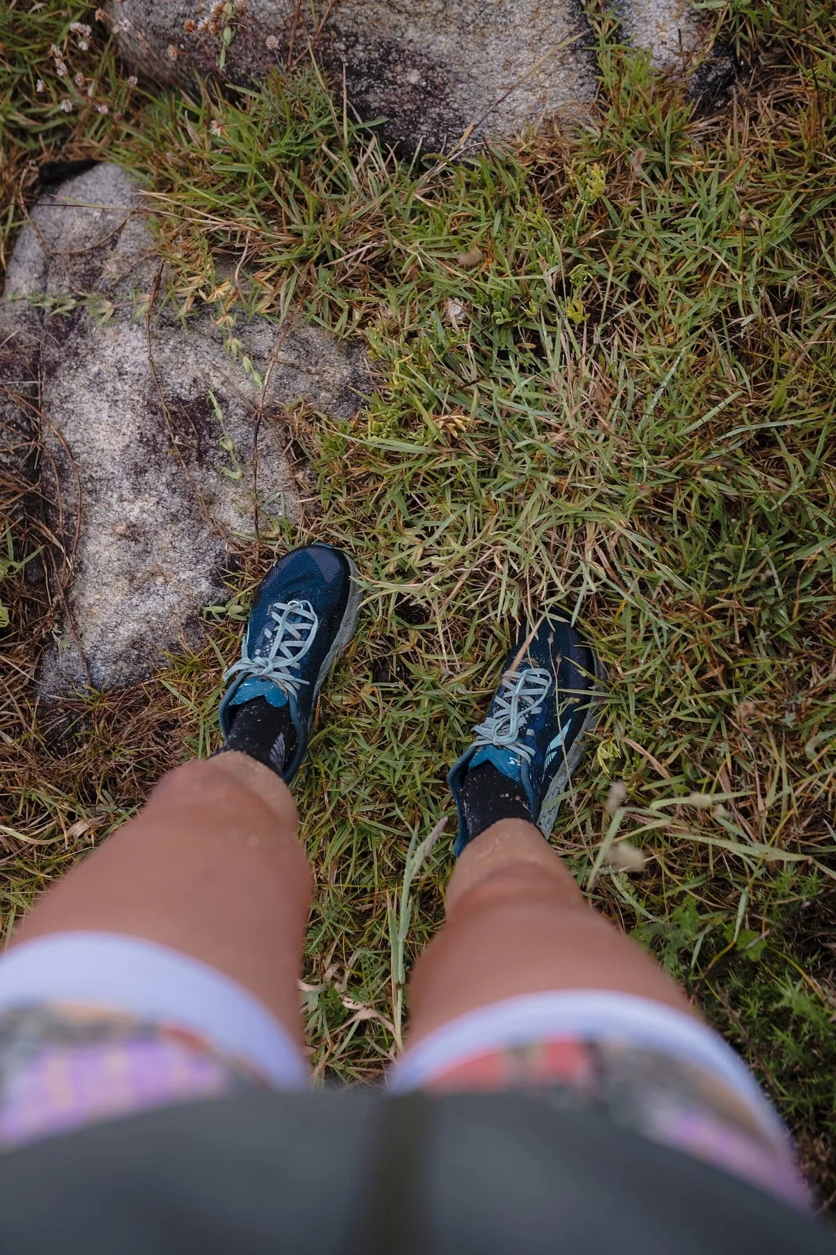 1724363451-745752-wild-rye-16.jpeg