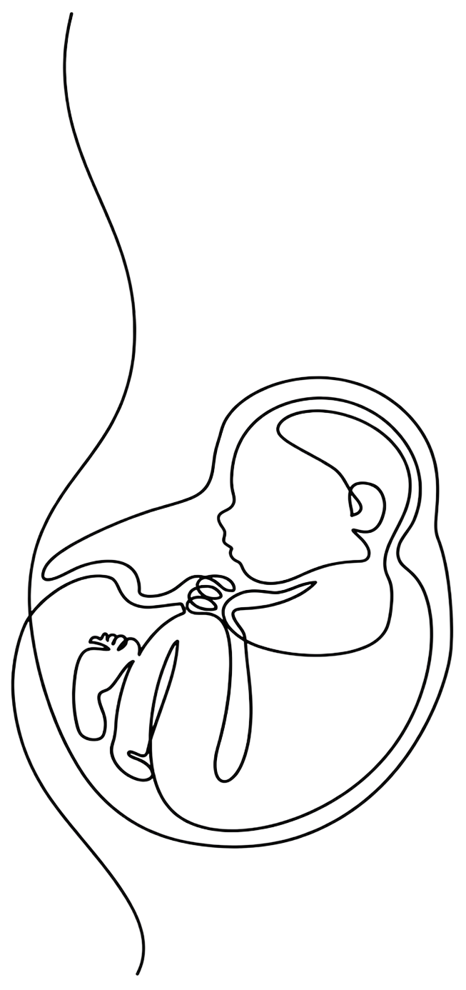 Line drawing of a pregnant woman, representing reproductive and perinatal psychiatry care