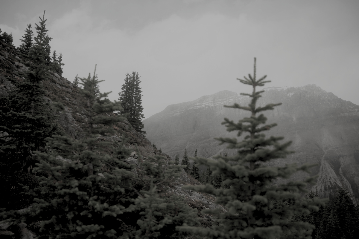 How to Leverage the Real Potential of Psychological Safety Climate: The Hidden Ecosystem Driving Performance, Retention, and Innovation
