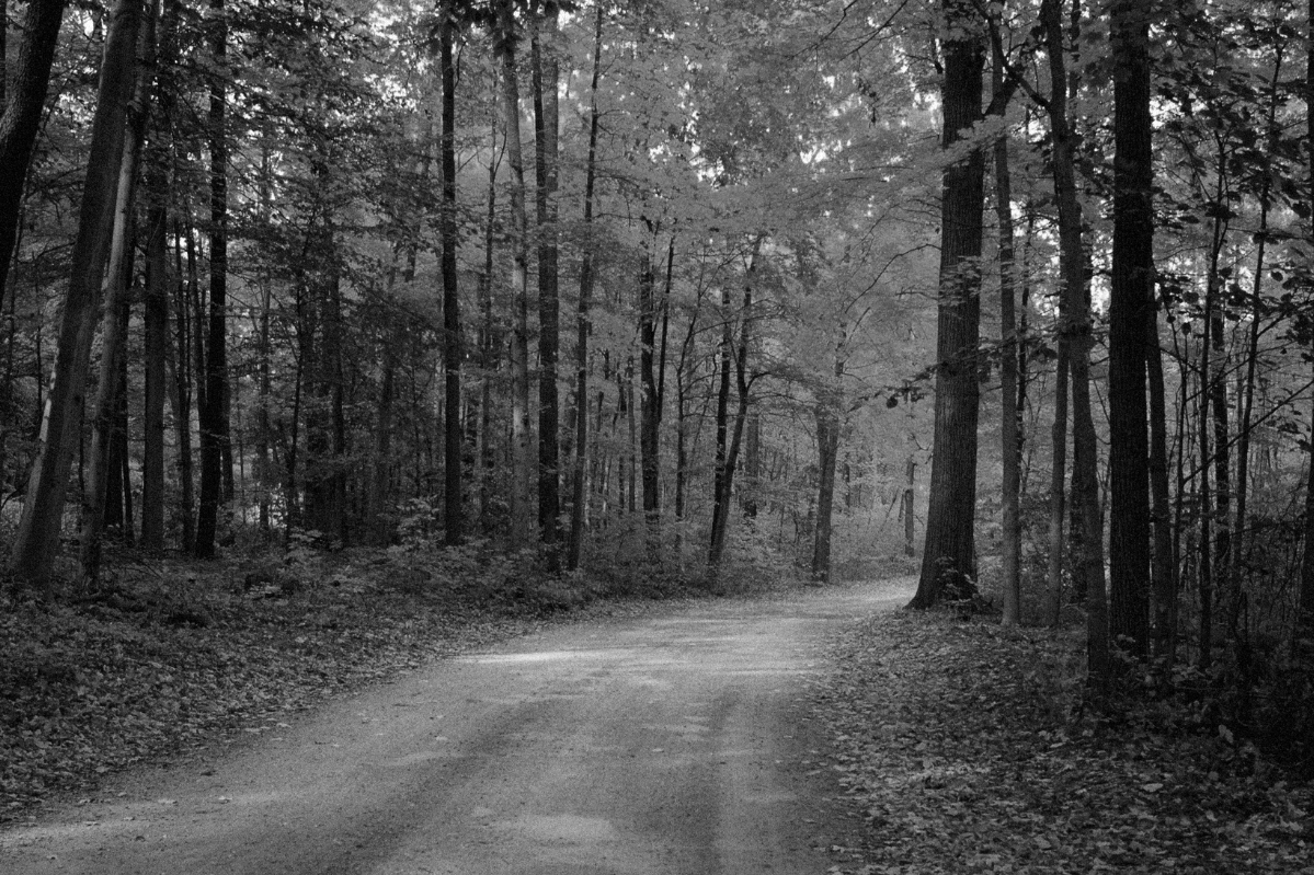 Death to Disclosure in 2026: Universal Accessibility is Key to Success for Modern Business (Part 1)