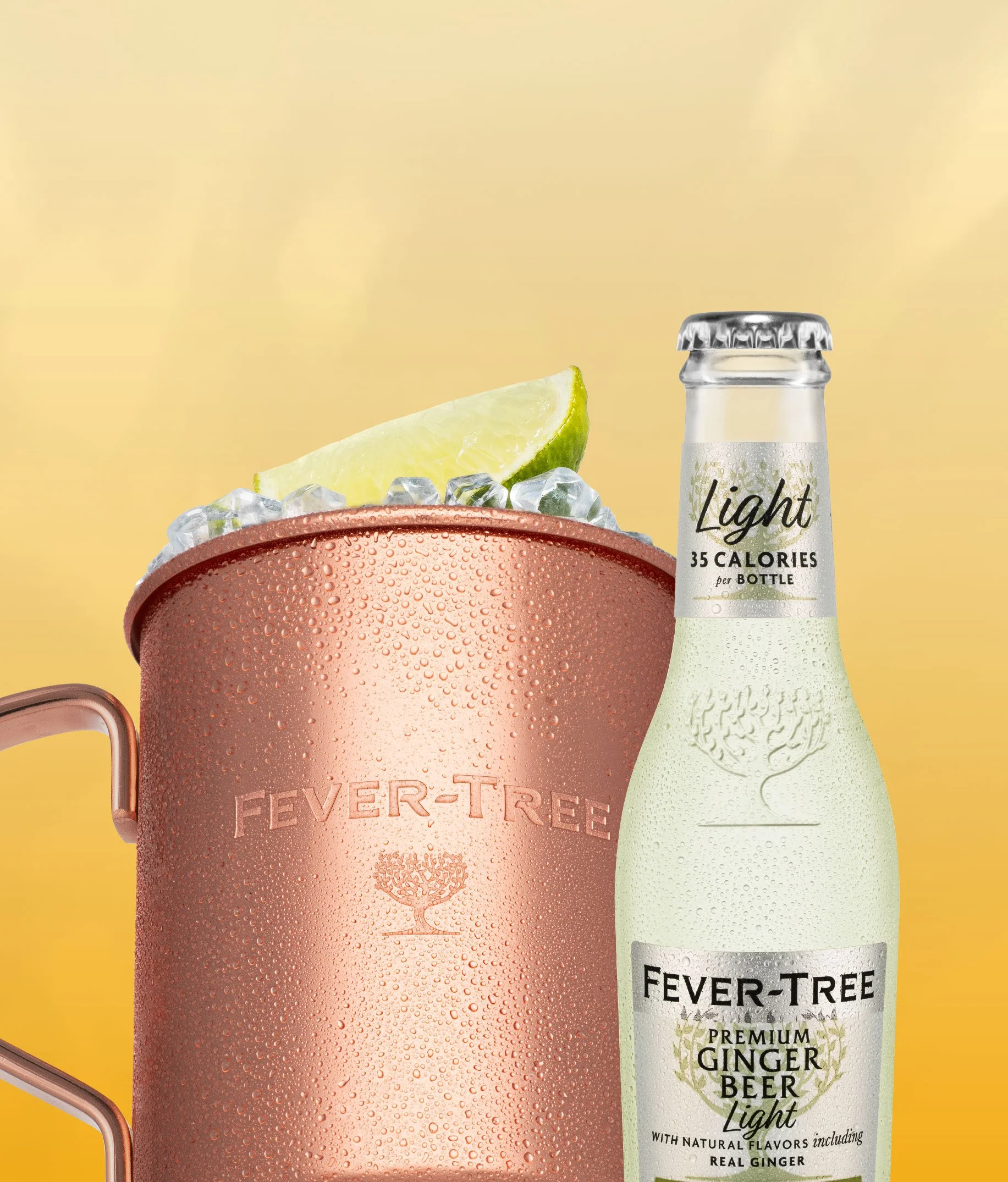 Fever_Tree_Light_Ginger.jpg
