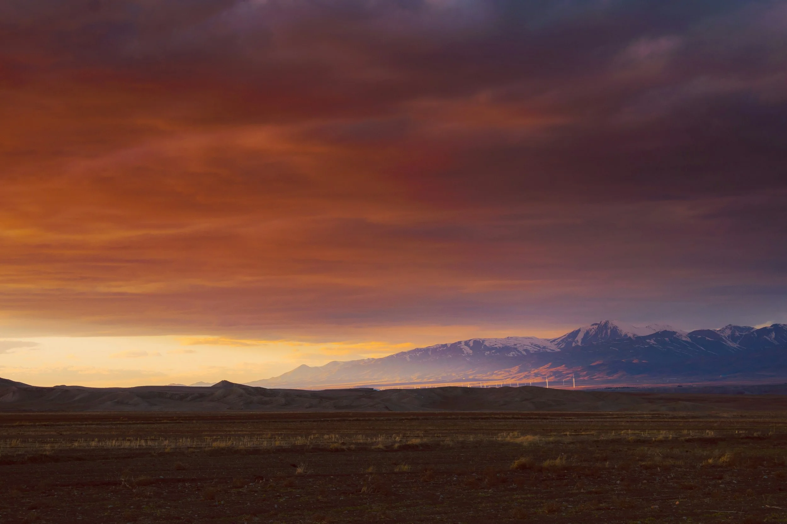 Why Therapy Takes Time: The Value of Being Seen